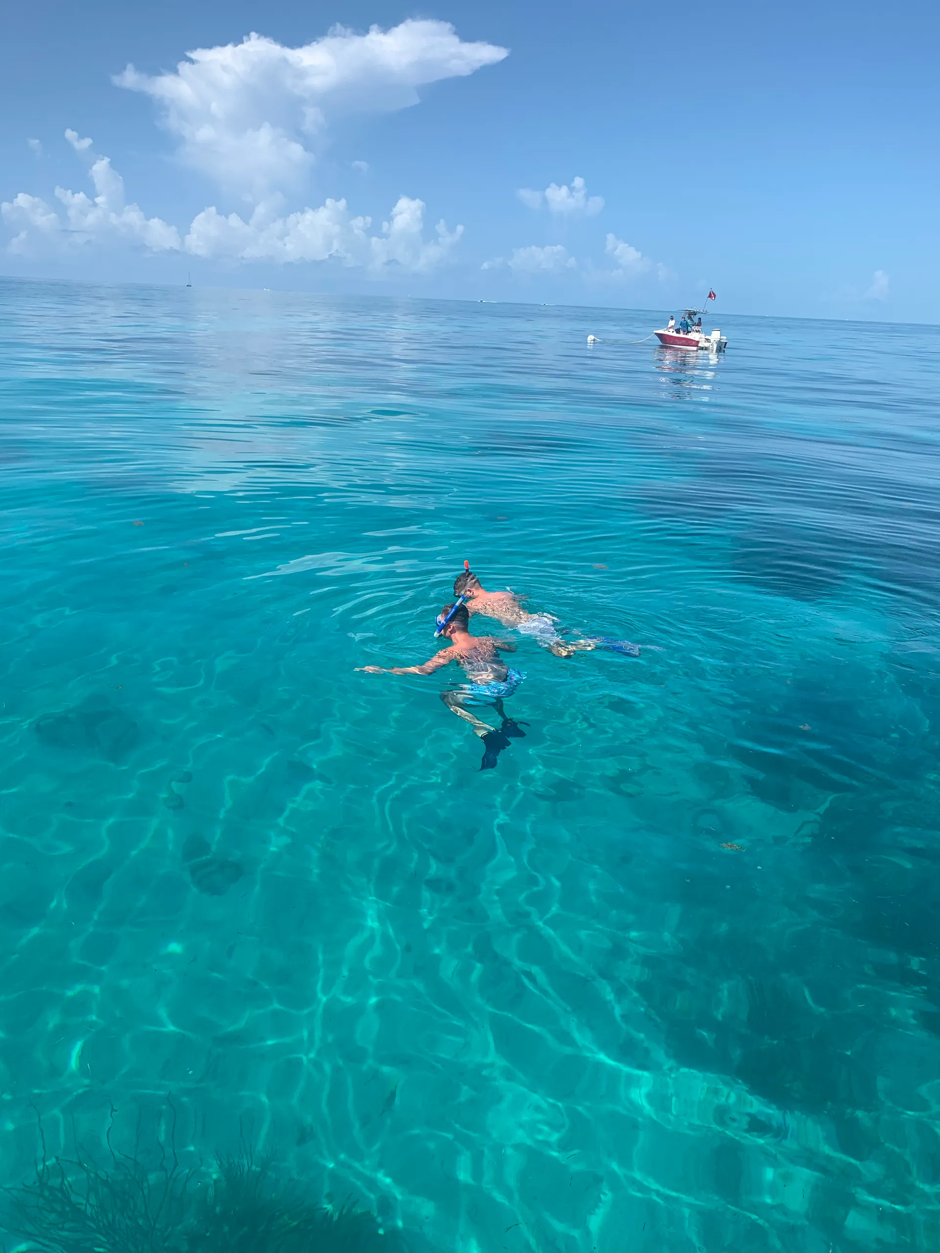 Islamorada Sandbar, Snorkel, Sunset & Sight Tours
