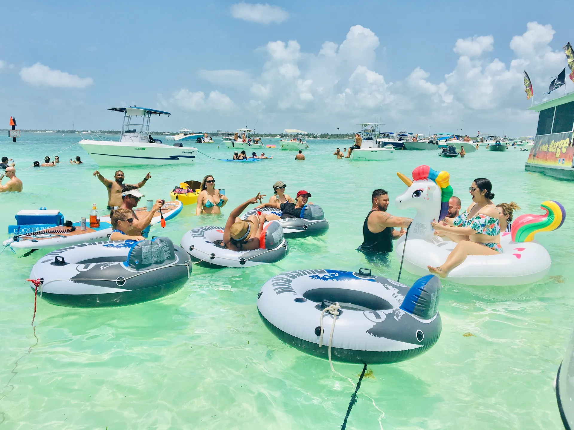 Islamorada Sandbar, Snorkel, Sunset & Sight Tours
