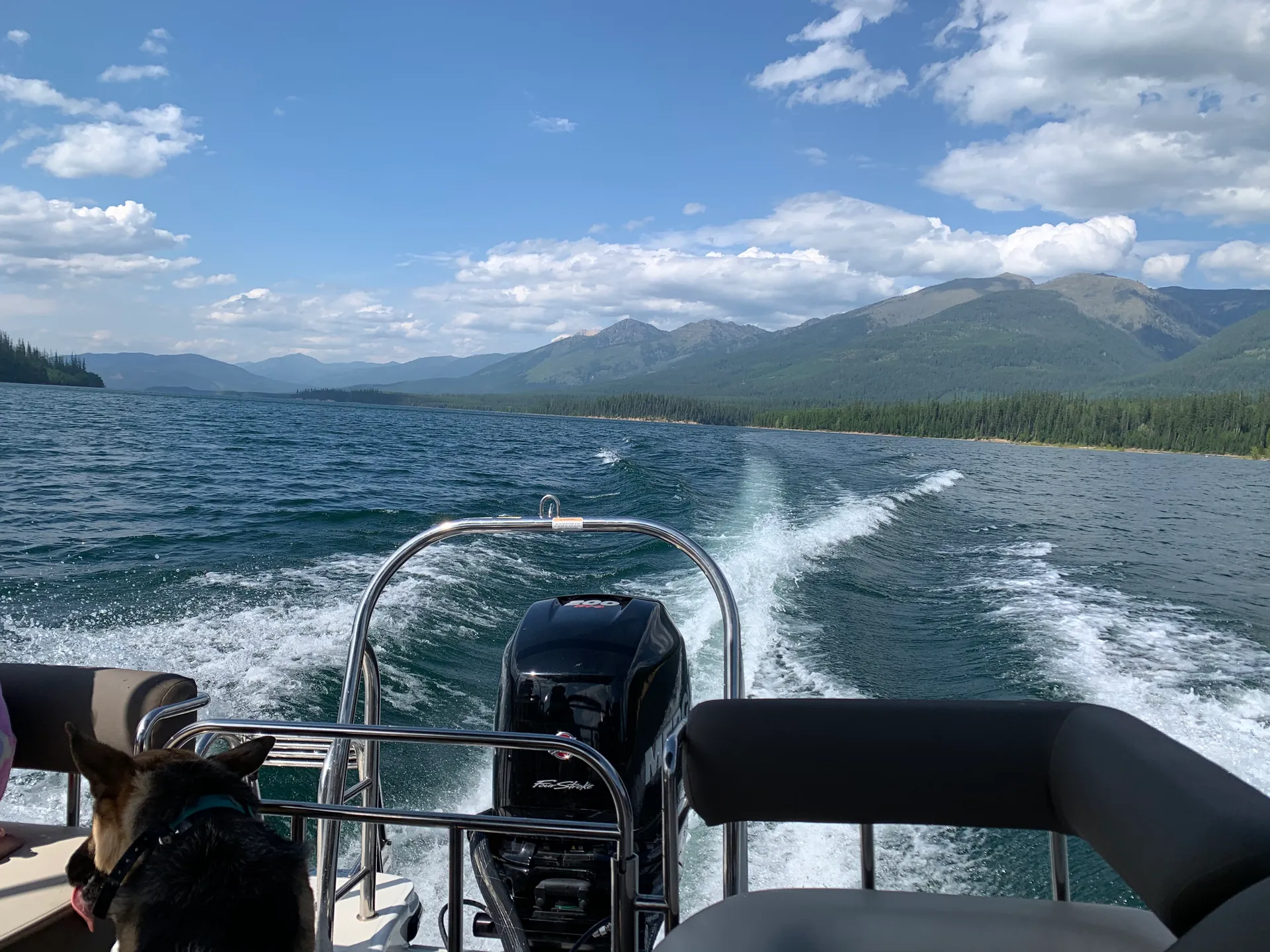 Bayliner Element XR7 Verado  in Bigfork, MT — photo 7