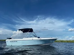 Awesome Dual Console for Fishing or Cruising! boat photo