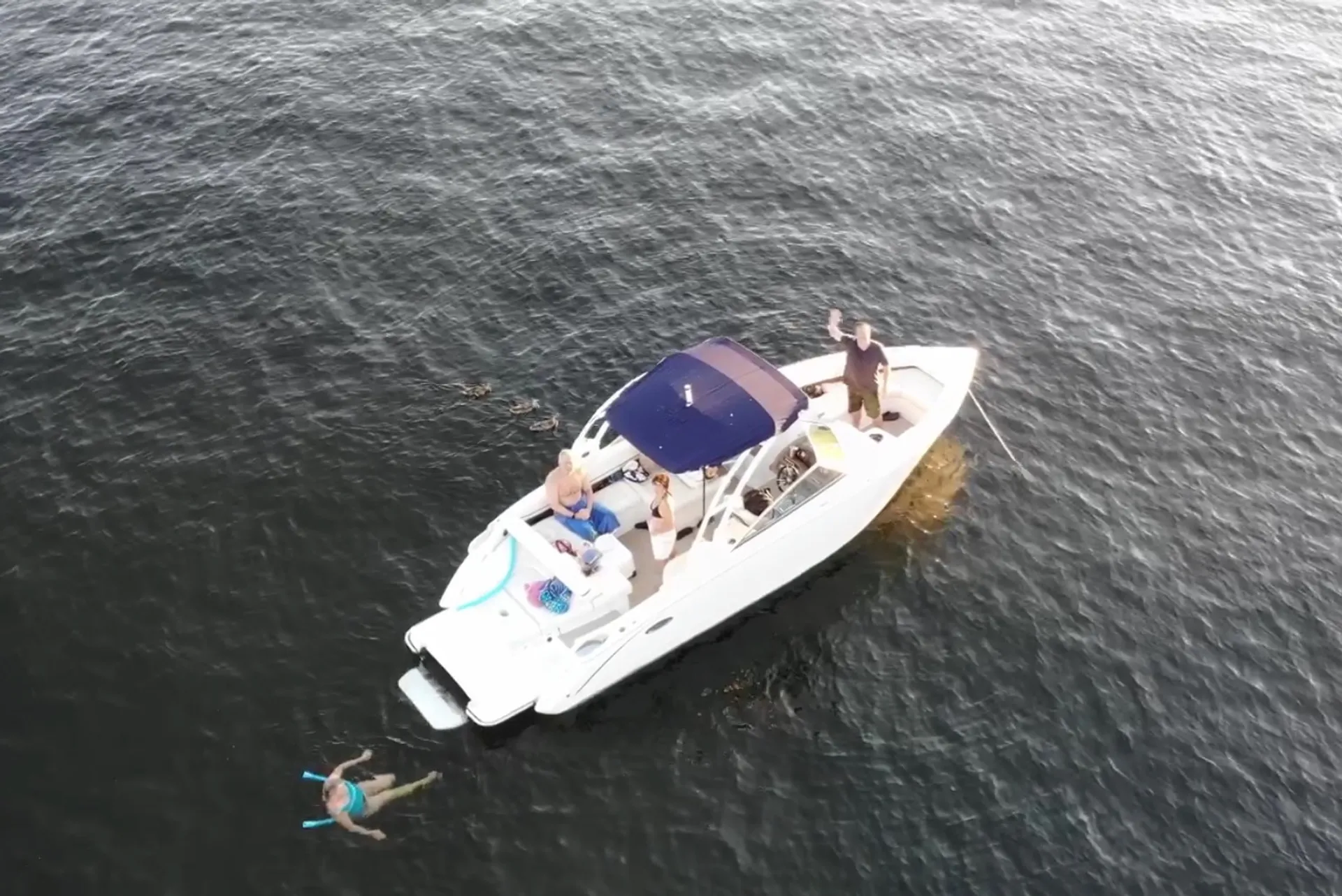 Cobalt R7 in Kirkland, WA — photo 7