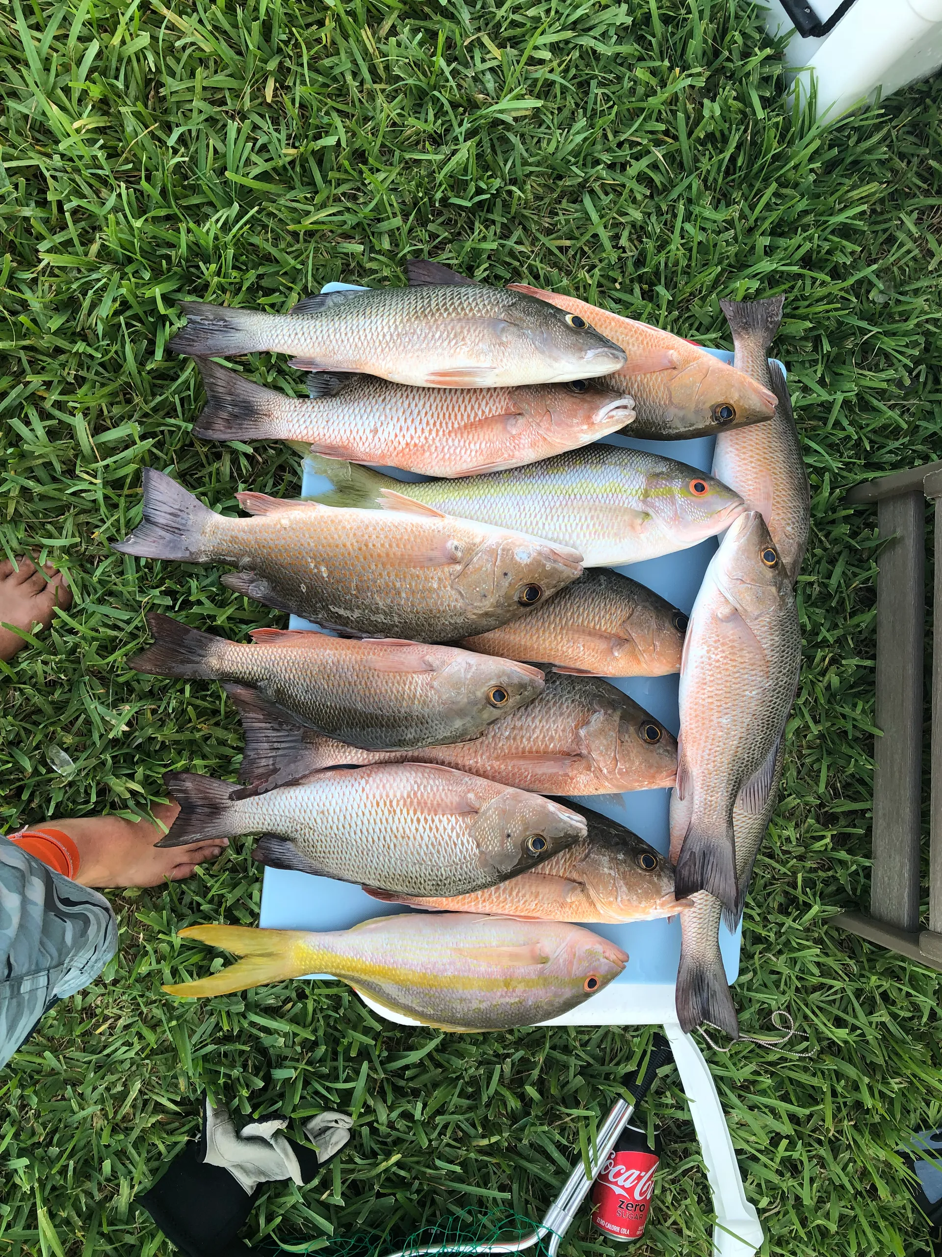 Glasstream 22 CC - Lets party or fish