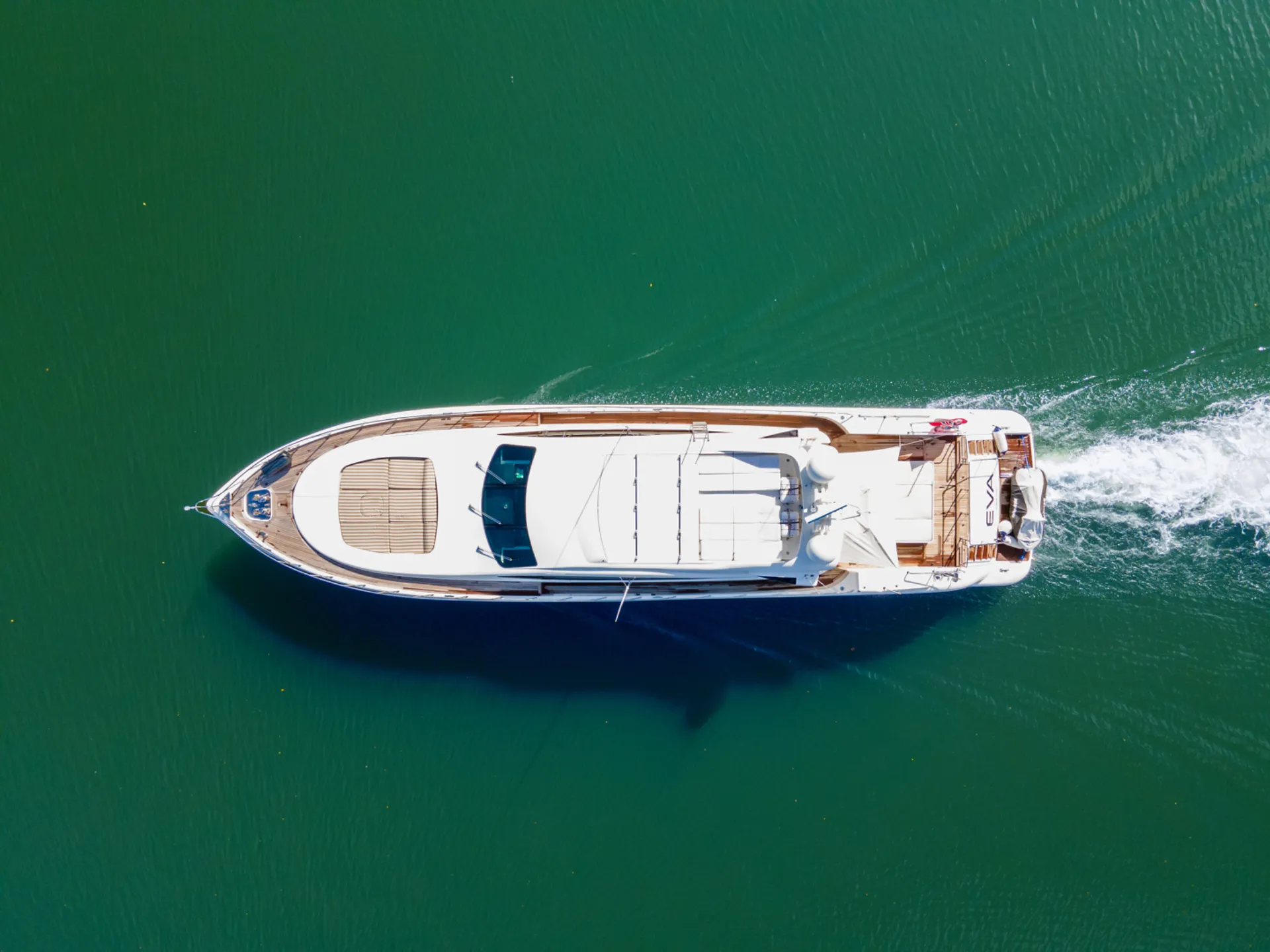 Mangusta Mangusta in Miami Beach, FL — photo 4