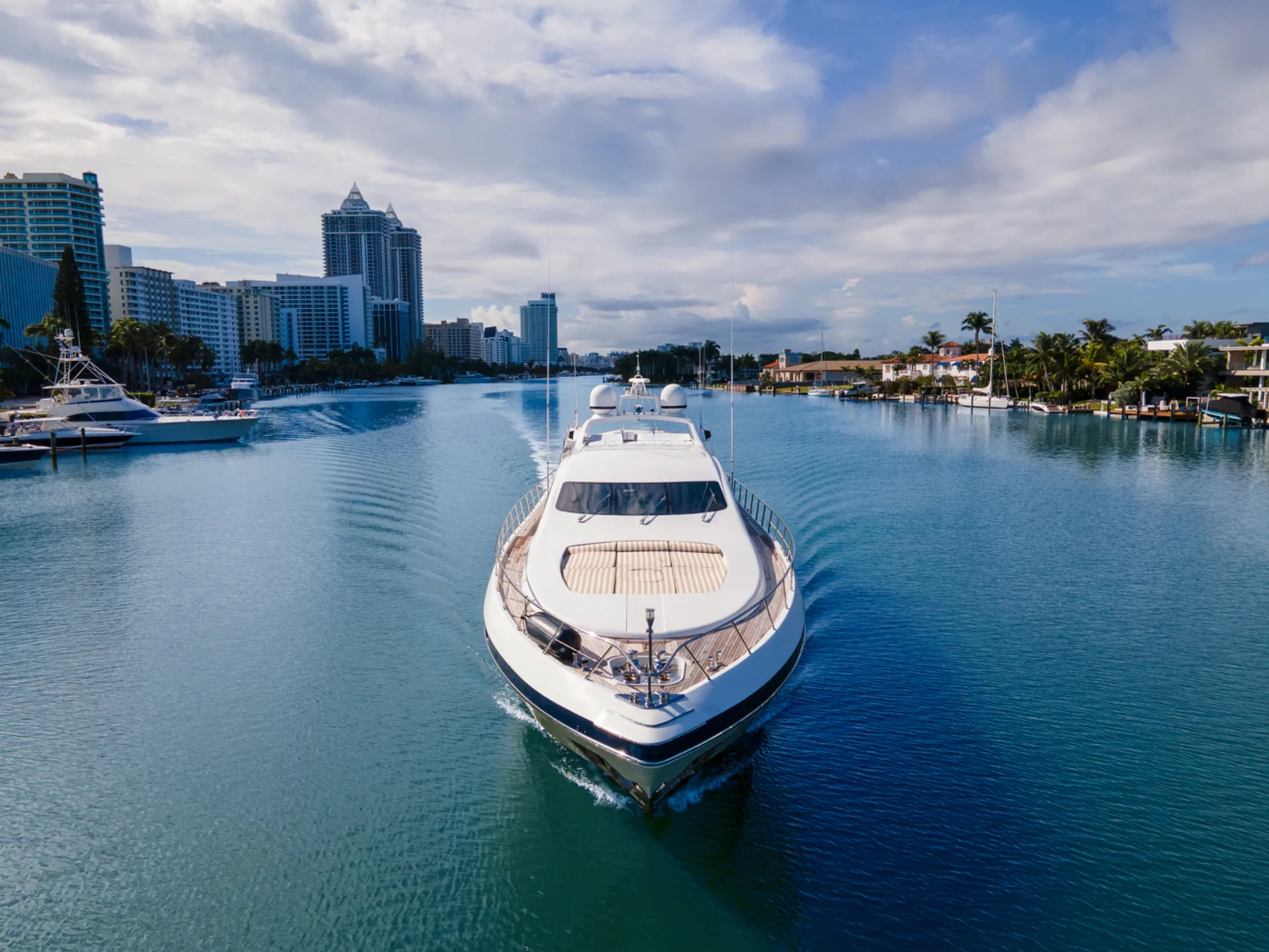 Mangusta Mangusta in Miami Beach, FL — photo 8