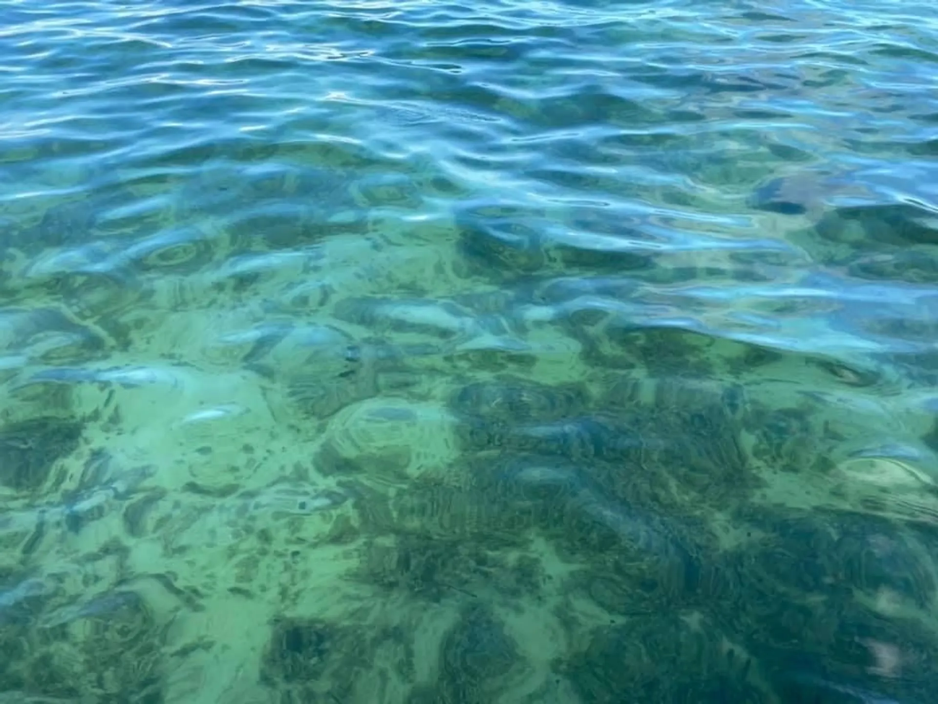 SEA RAY BOATS 290 SUNDECK in Coral Gables, FL — photo 8