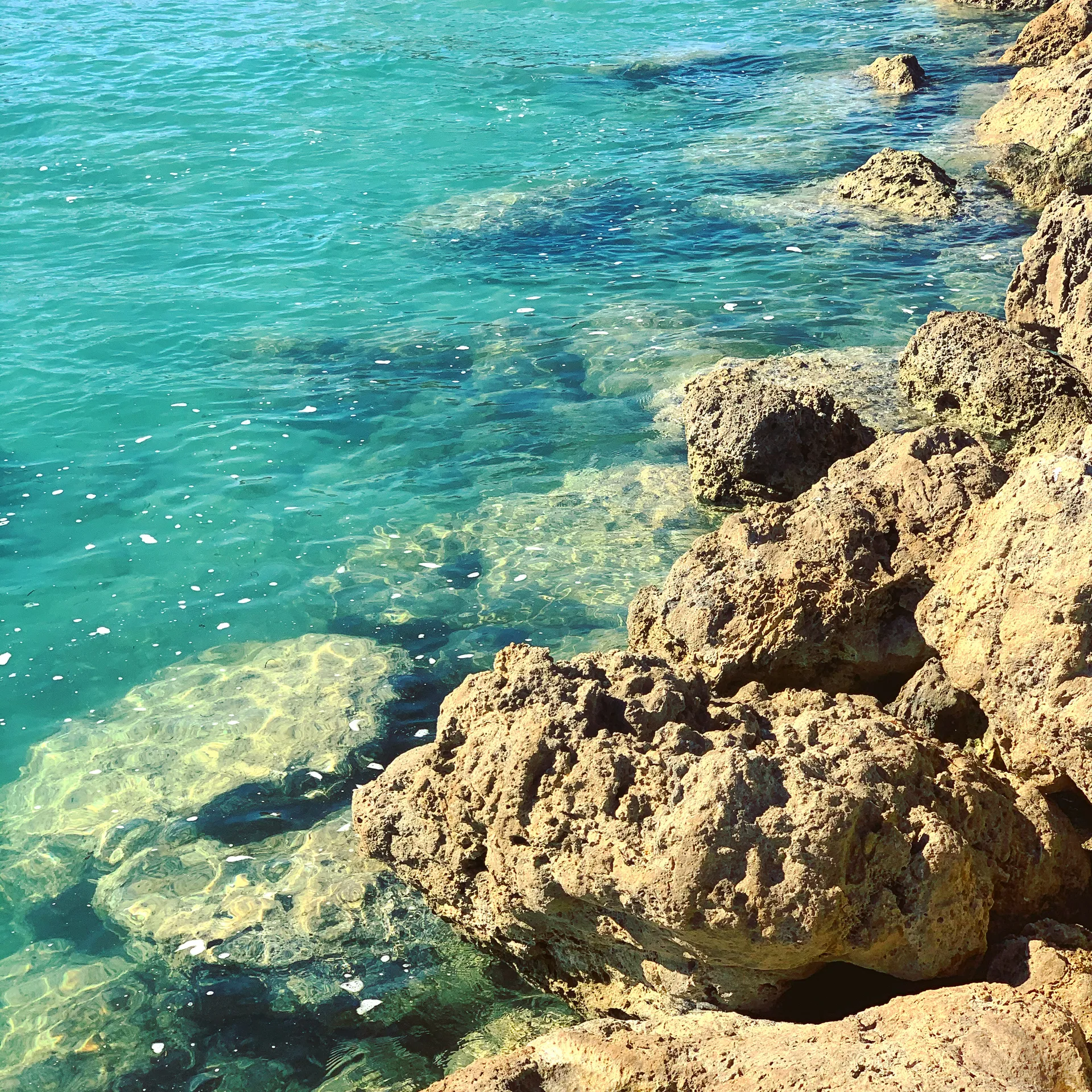 ☀️ 5 STAR 42' Azimut Luxury Yacht | Jupiter, Palm Beach, Stuart, FL