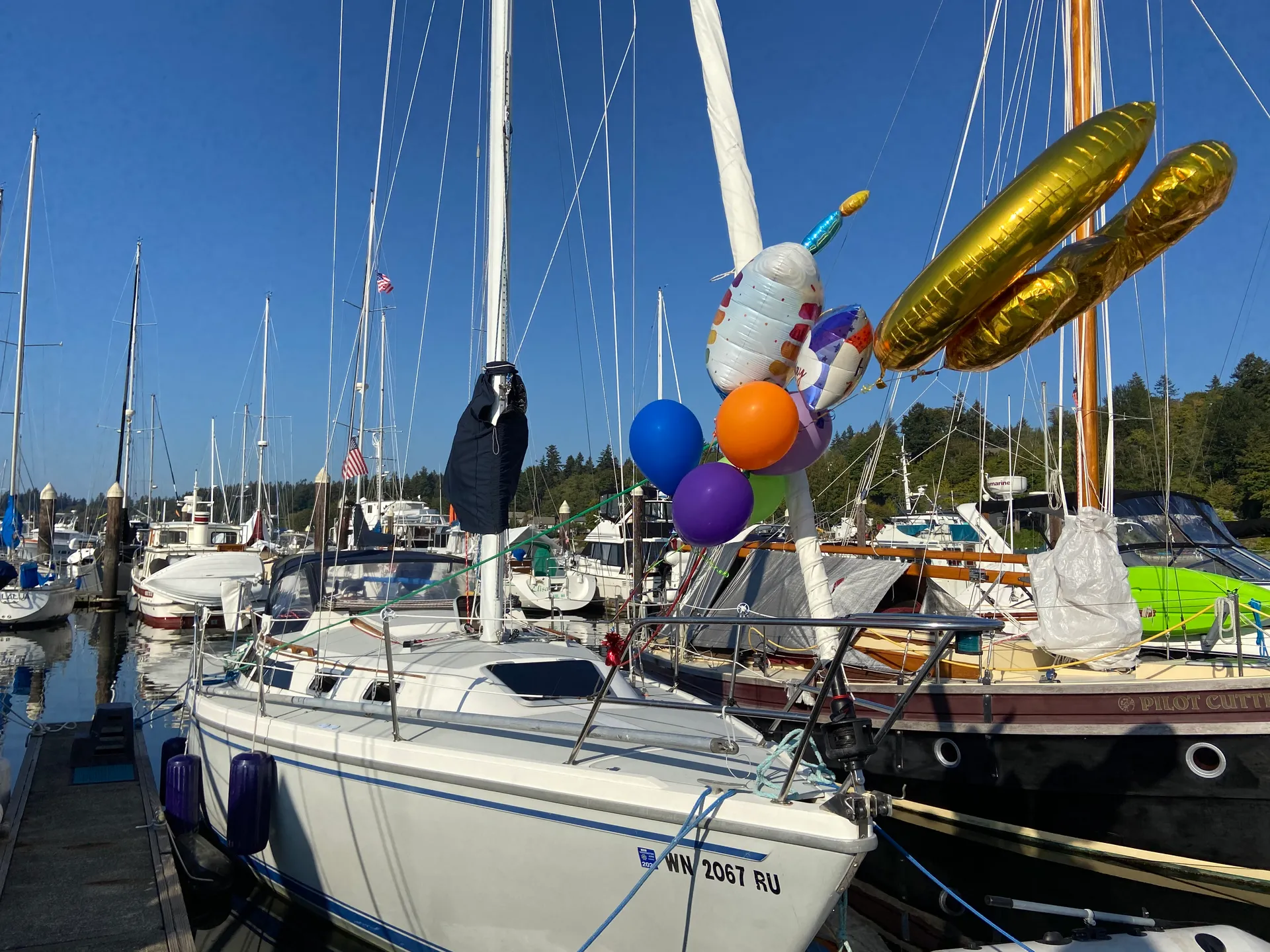 Perfect Puget Sound Sailboat 