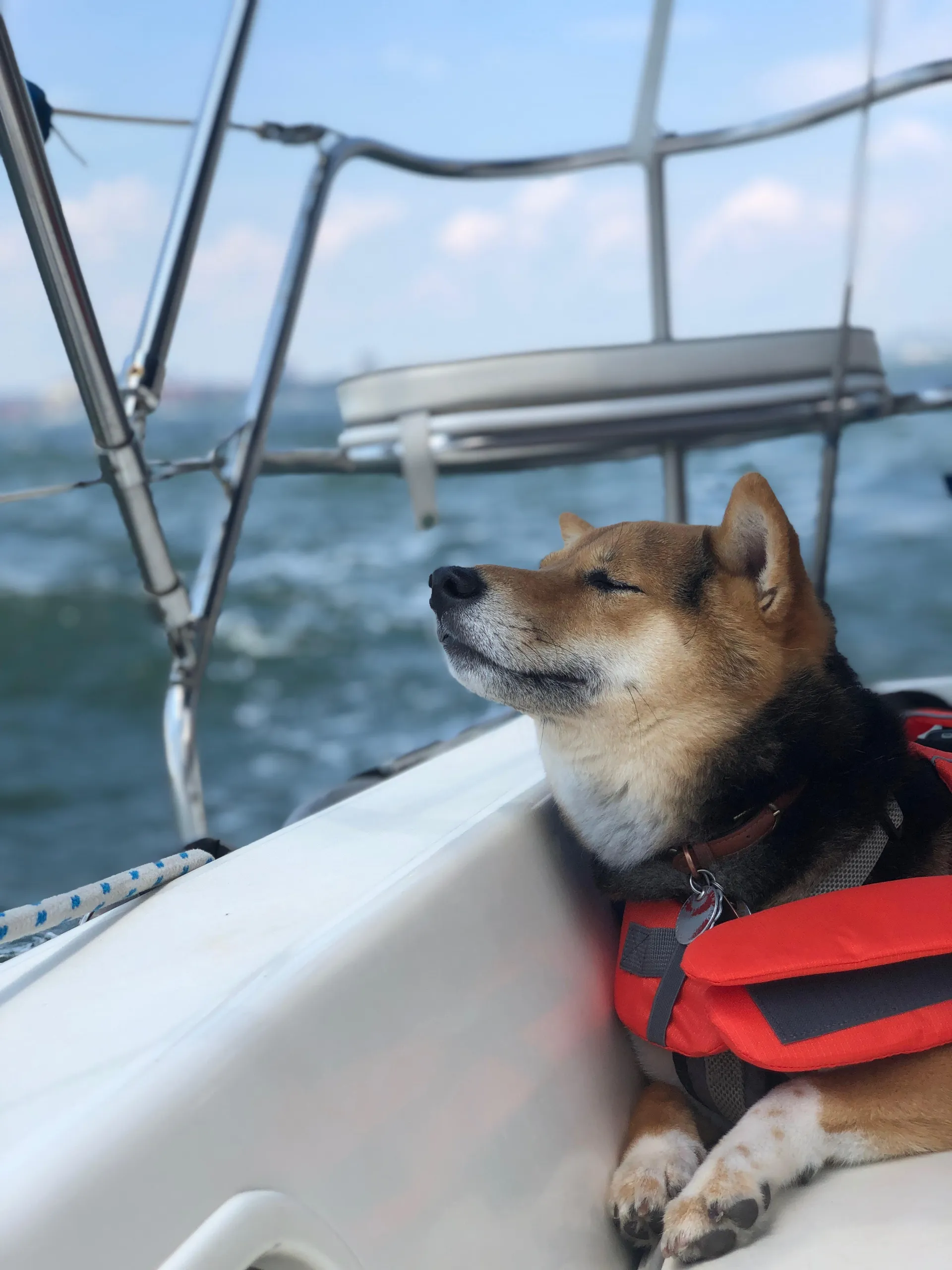 Sailing NYC with Brooklyn Sail 