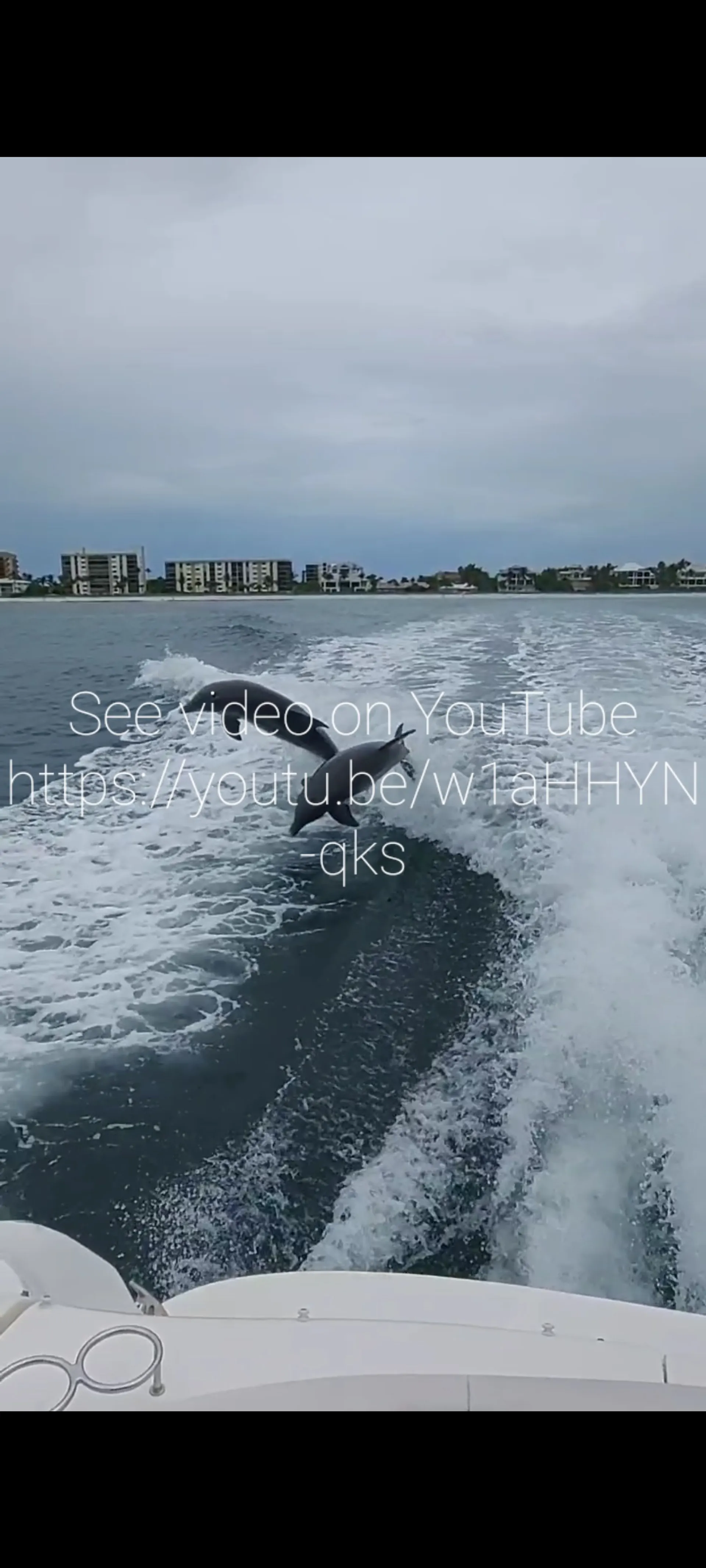 Heaven On The Gulf  - Sleek 40' Searay Sundancer! 