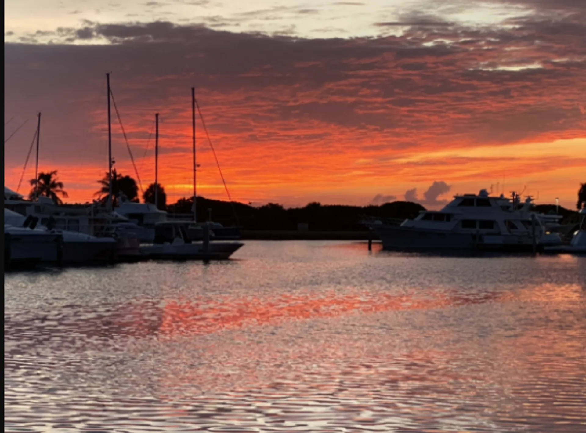 Carver Yachts 44 Cockpit Motor Yacht in Sarasota, FL — photo 3
