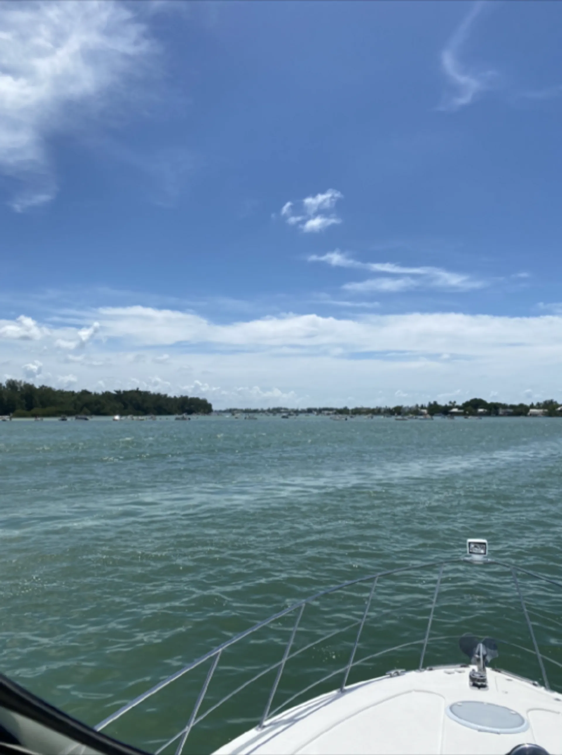 Carver Yachts 44 Cockpit Motor Yacht in Sarasota, FL — photo 4