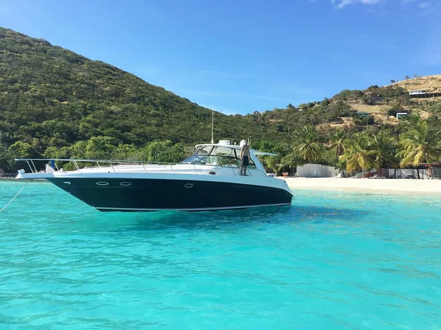 Rent a Sea Ray Boats express cruiser in East End, St Thomas near me