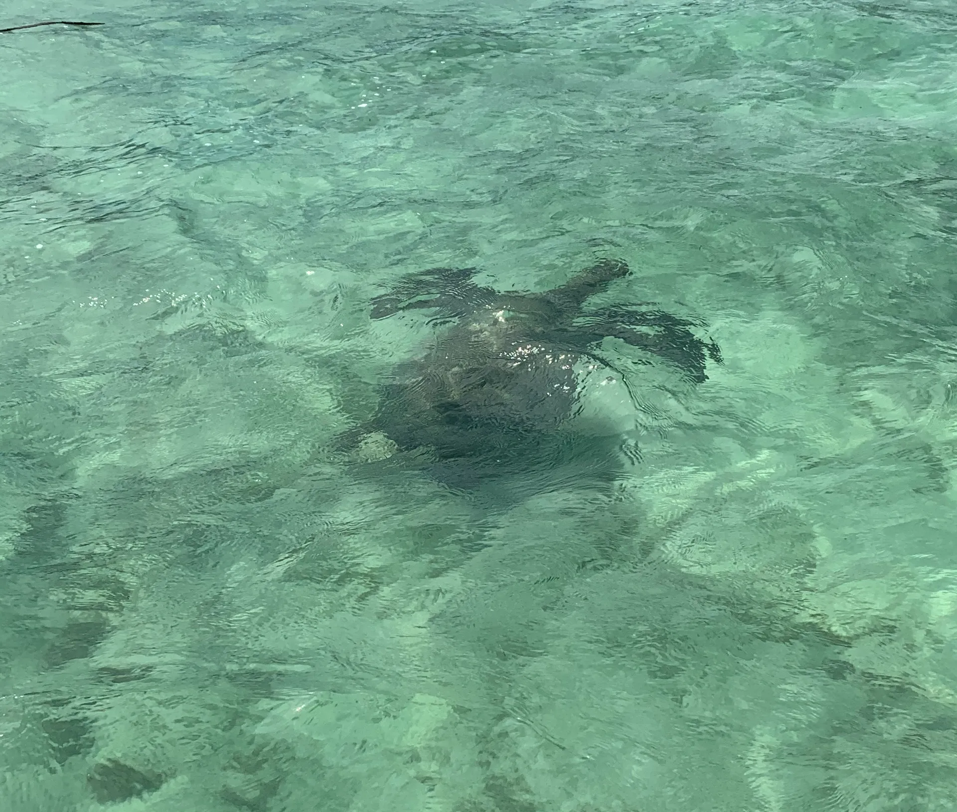 Yamaha AR190  in Honolulu, HI — photo 8