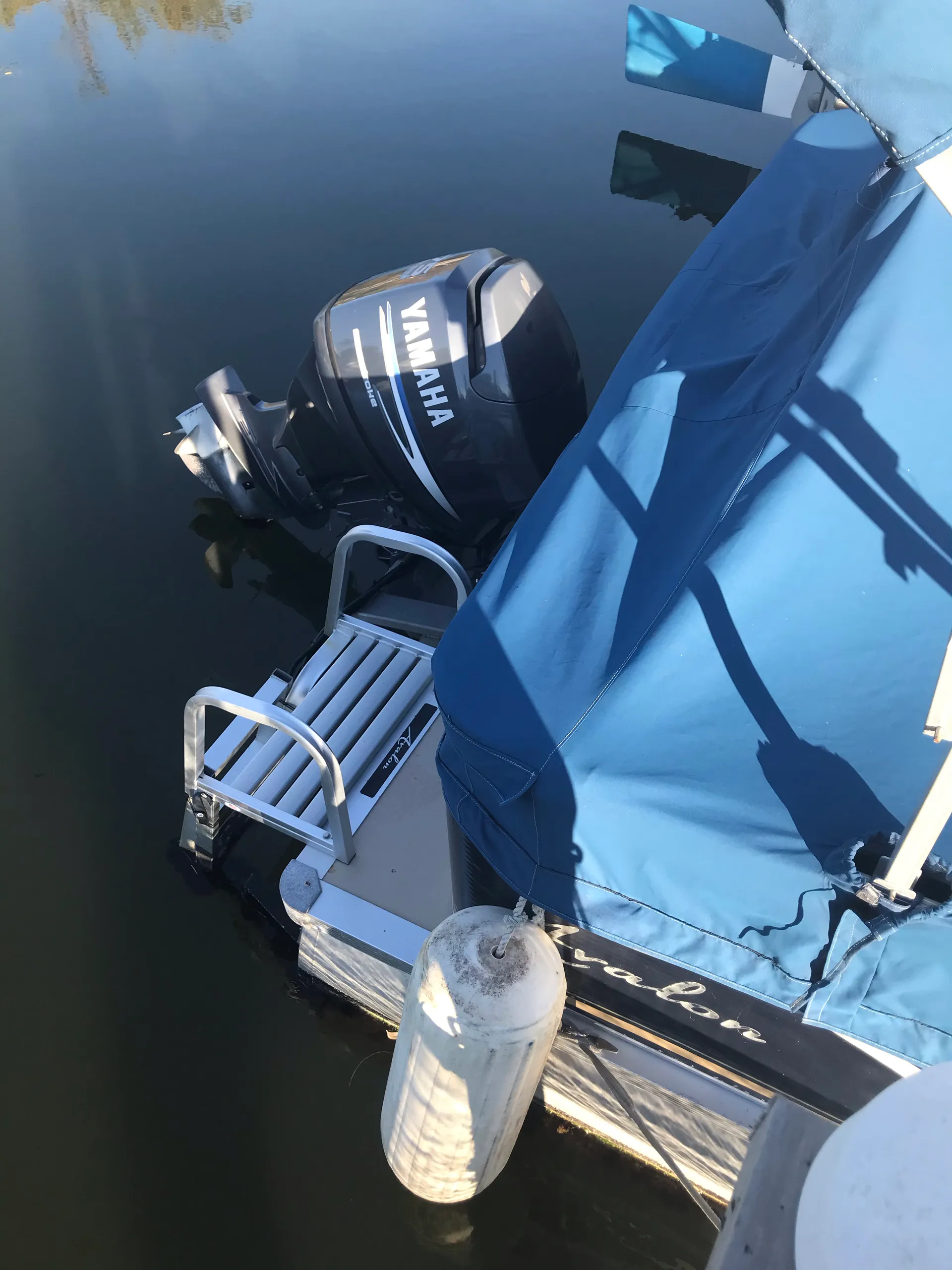 Avalon Pontoons 19' LS in Palmetto, FL — photo 8