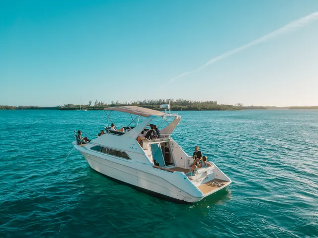 Rent a Sea Ray Boats flybridge in Miami, FL near me