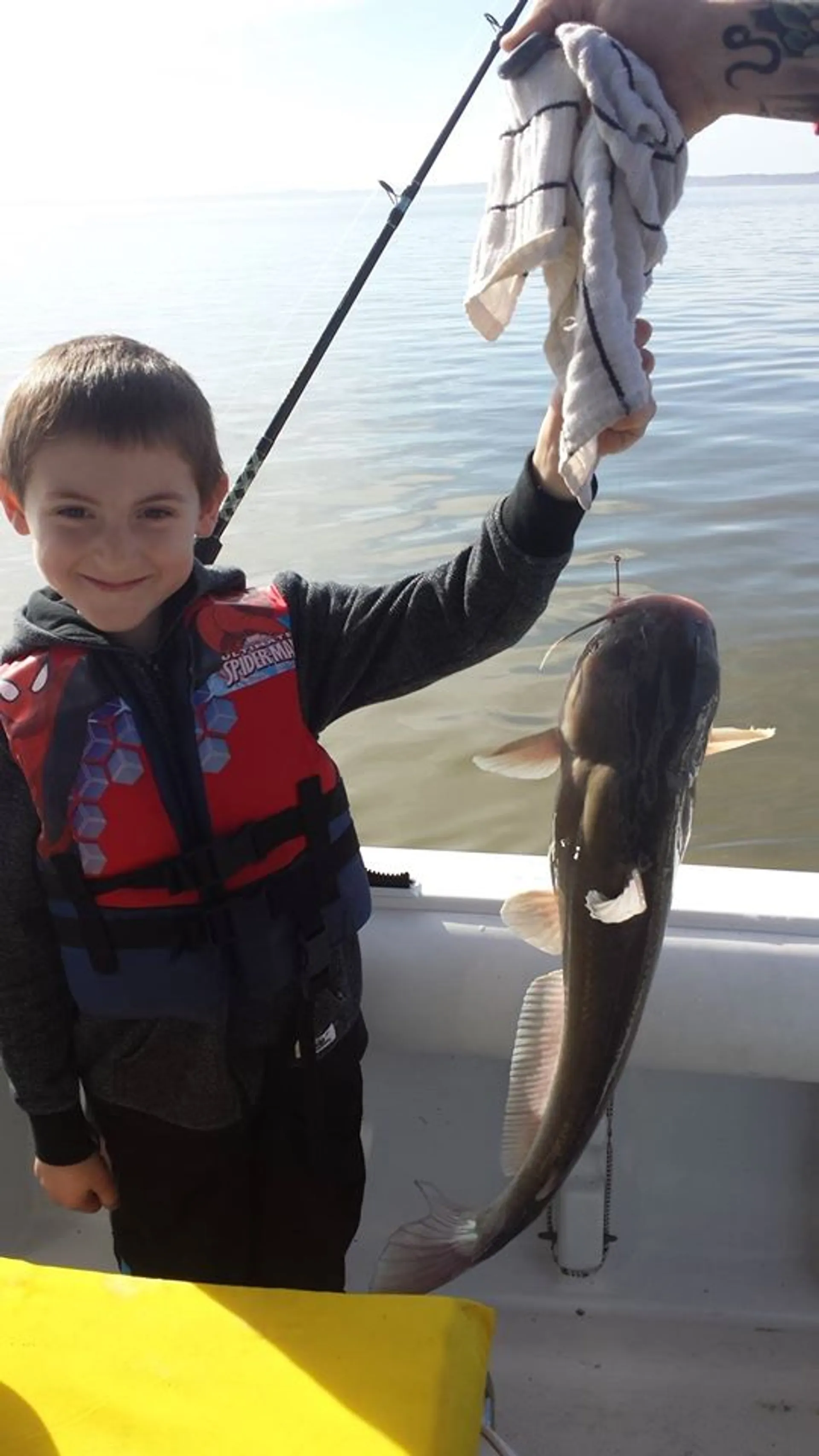 Sea Hunt Boats Ultra 210 in Virginia Beach, VA — photo 4