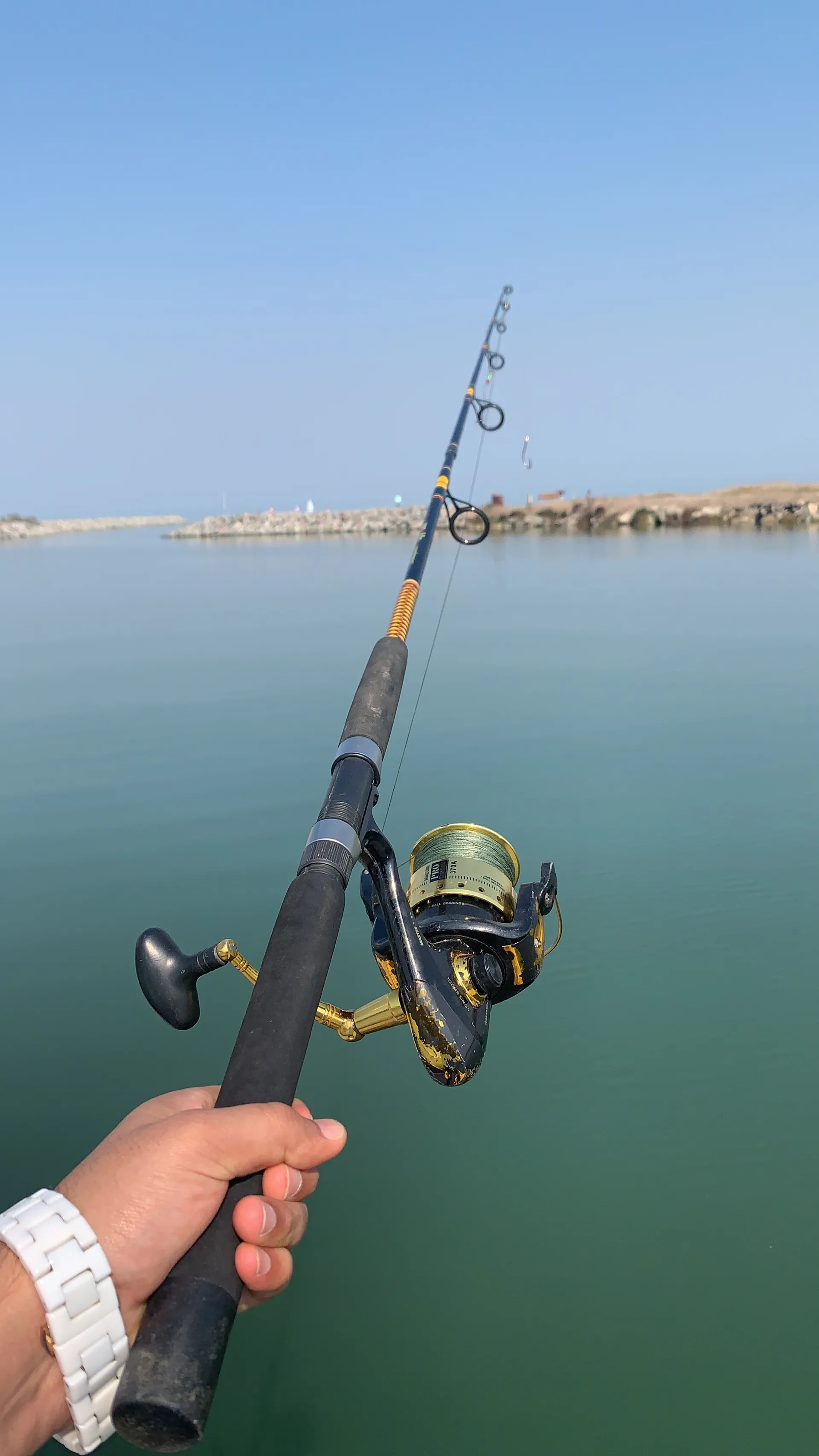 Bayliner 245sb in Sausalito, CA — photo 10