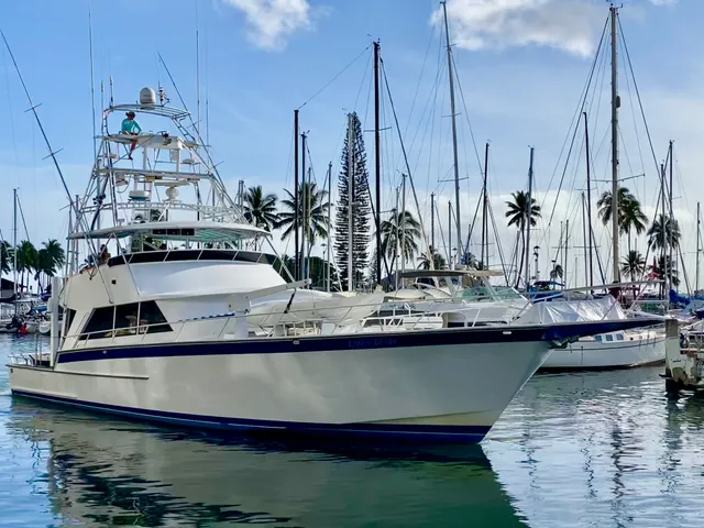 Rent a Striker Yachts motor yacht in Honolulu, HI near me