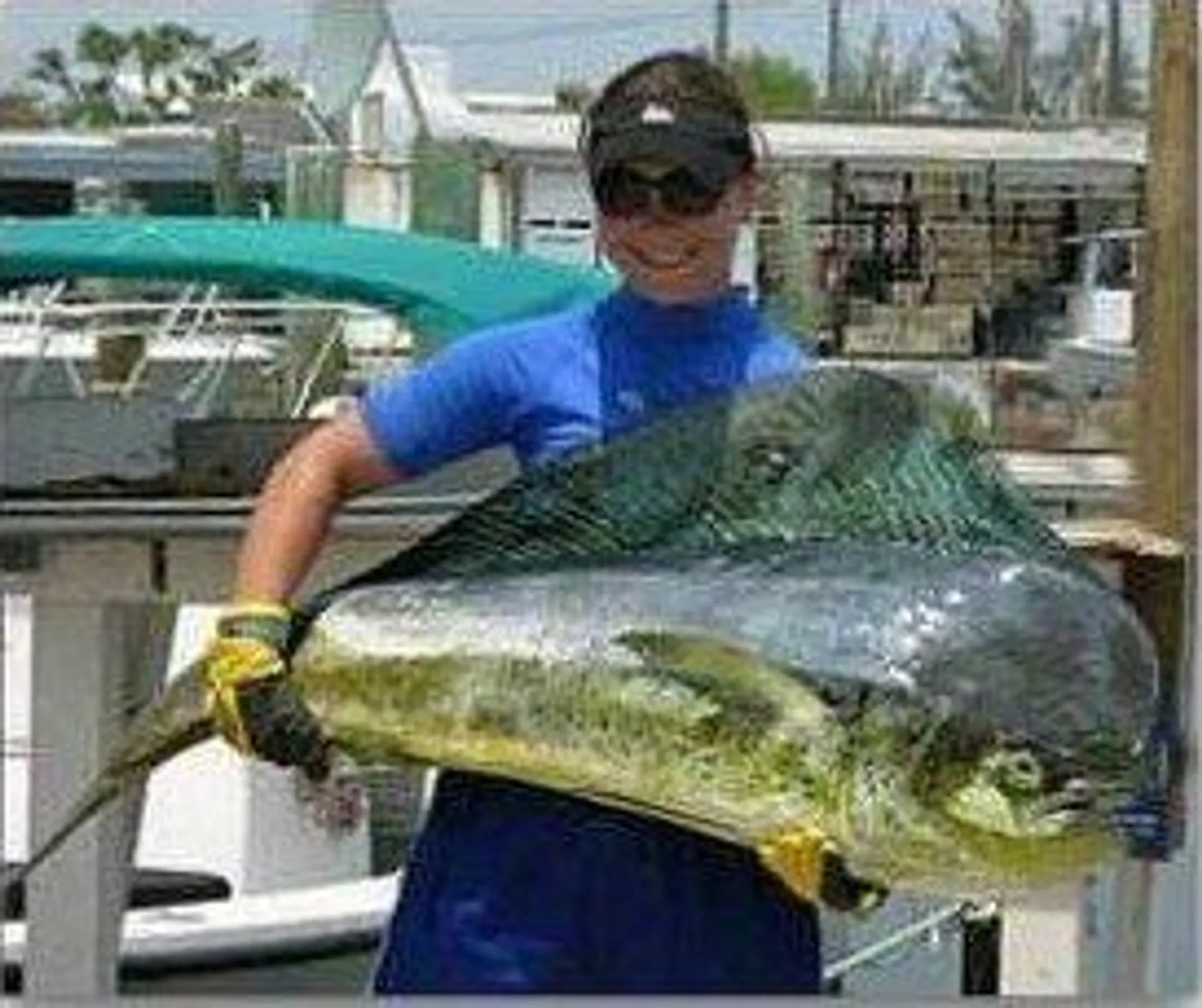 Fish w Capt. Johnny in Marathon, Florida!
