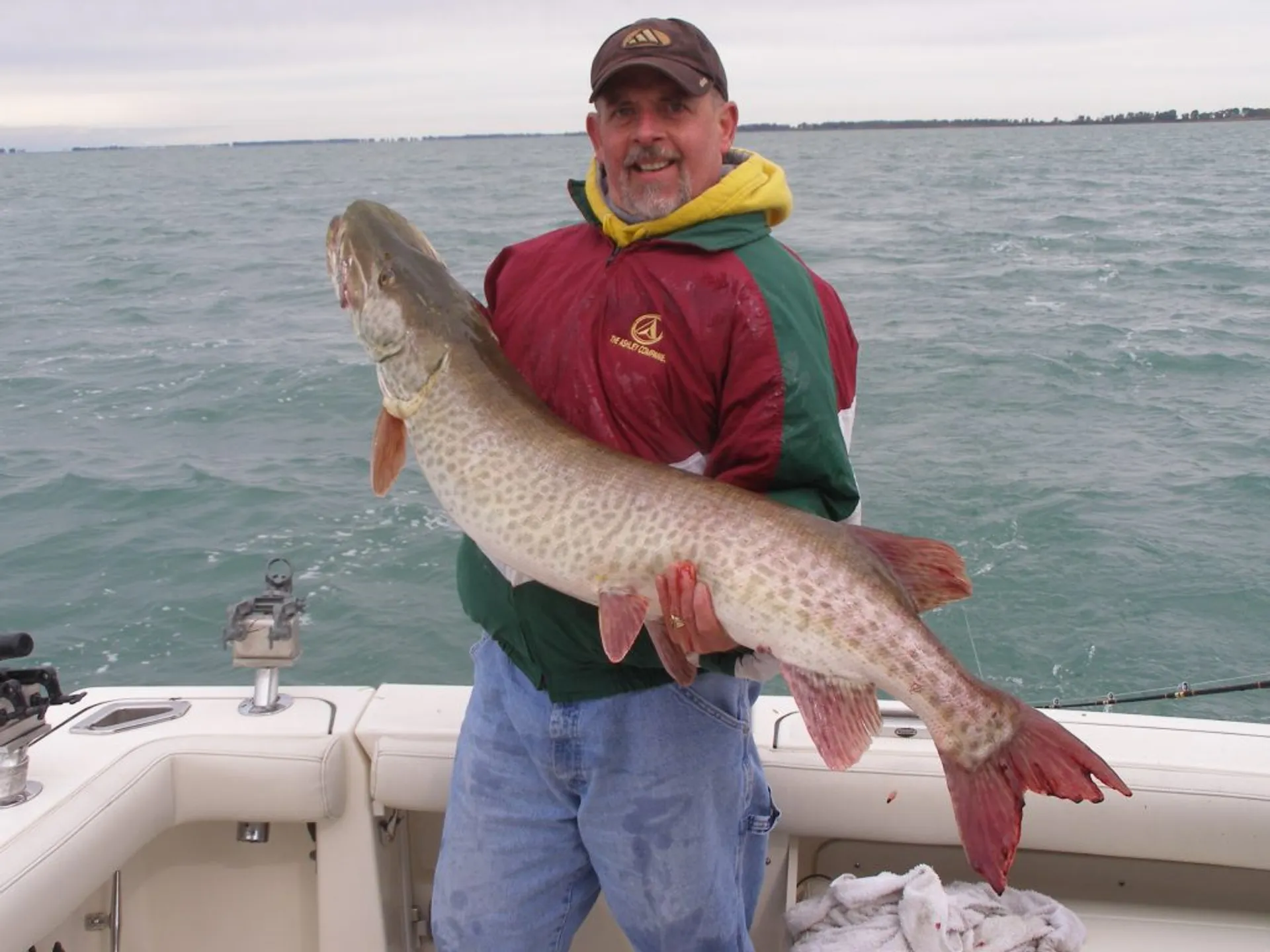 Boston Whaler 20' in Harrison charter Township, MI — photo 2