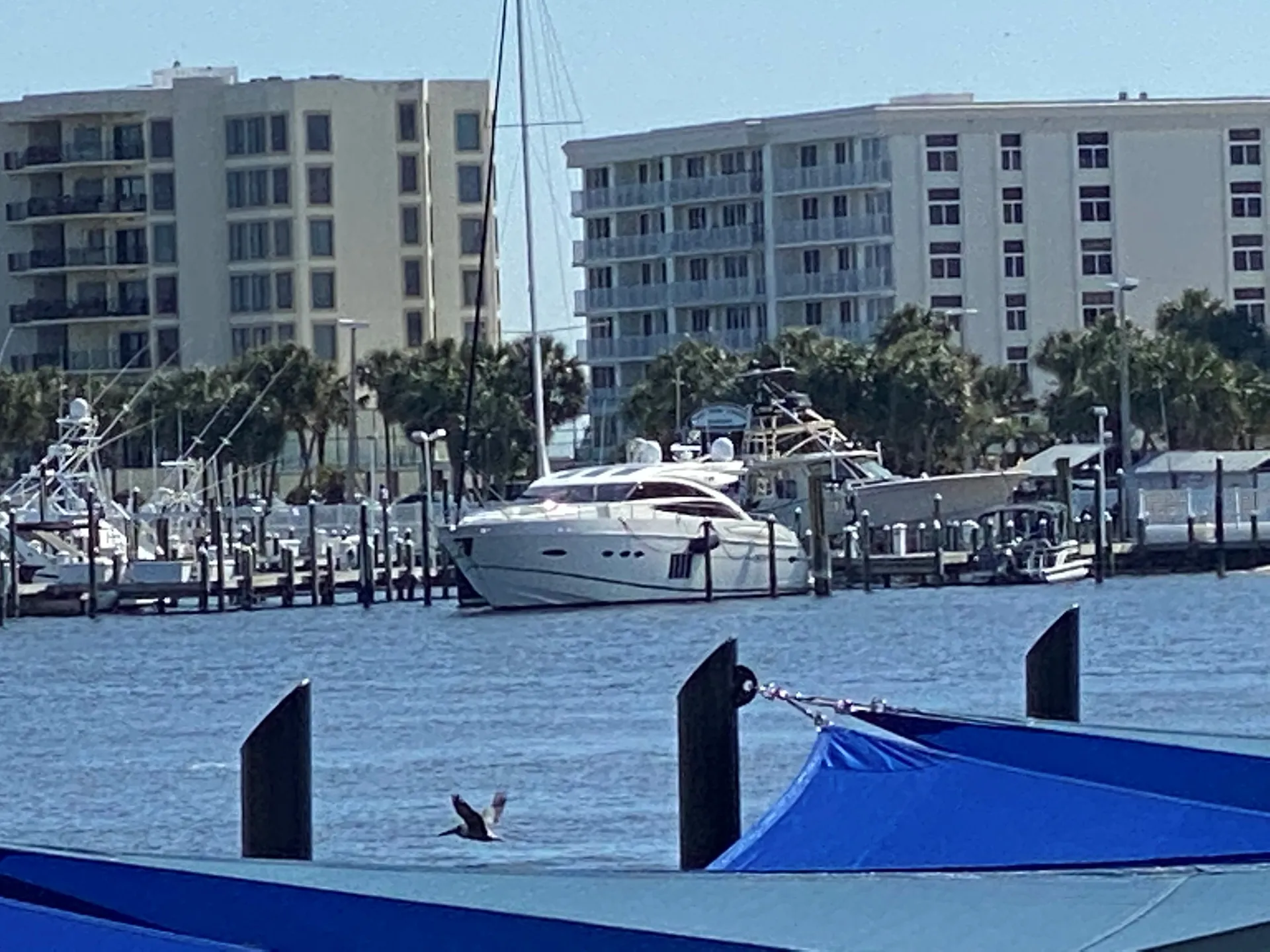 Destin's Premier Luxury Yachting Experience