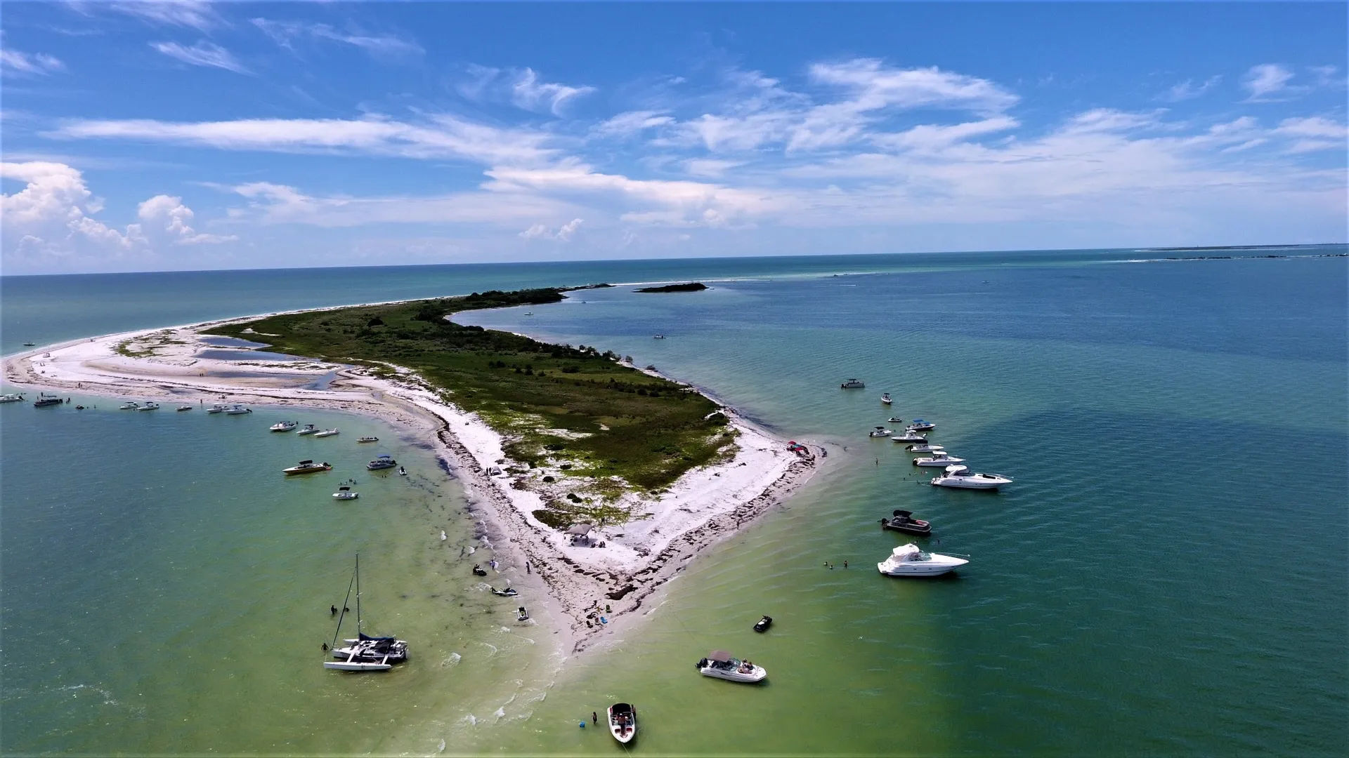 Scenic & sunset tours, dolphin cruises and more!