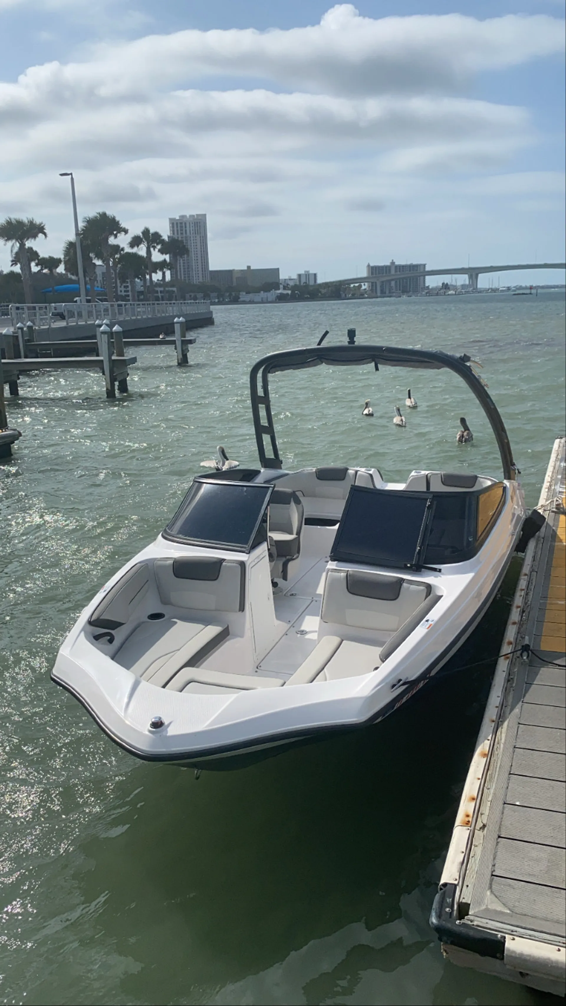 YAMAHA AR190 W/TRAILER in Kissimmee, FL — photo 3