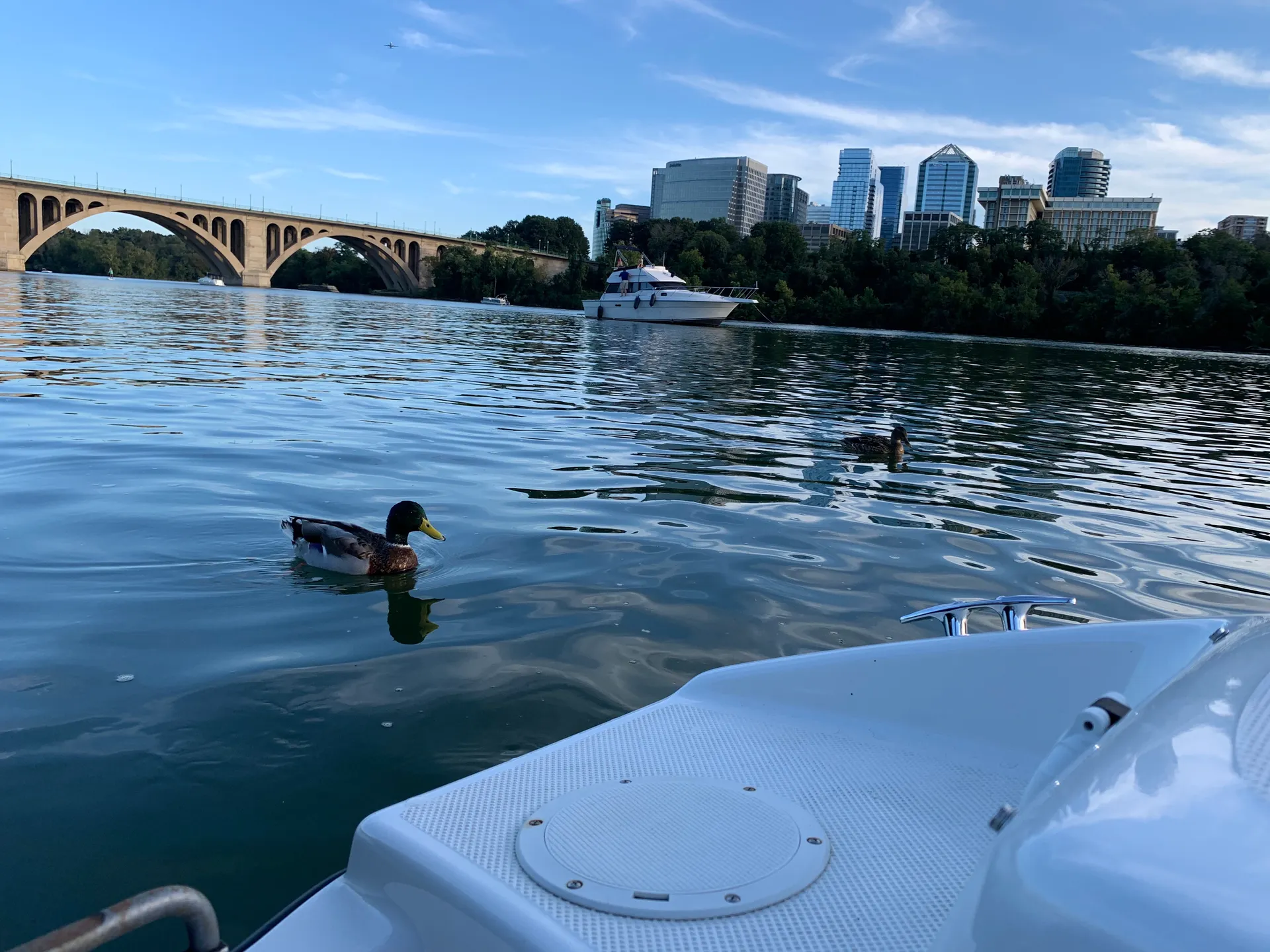 BAYLINER 160 BOWRIDER in Arlington, VA — photo 4