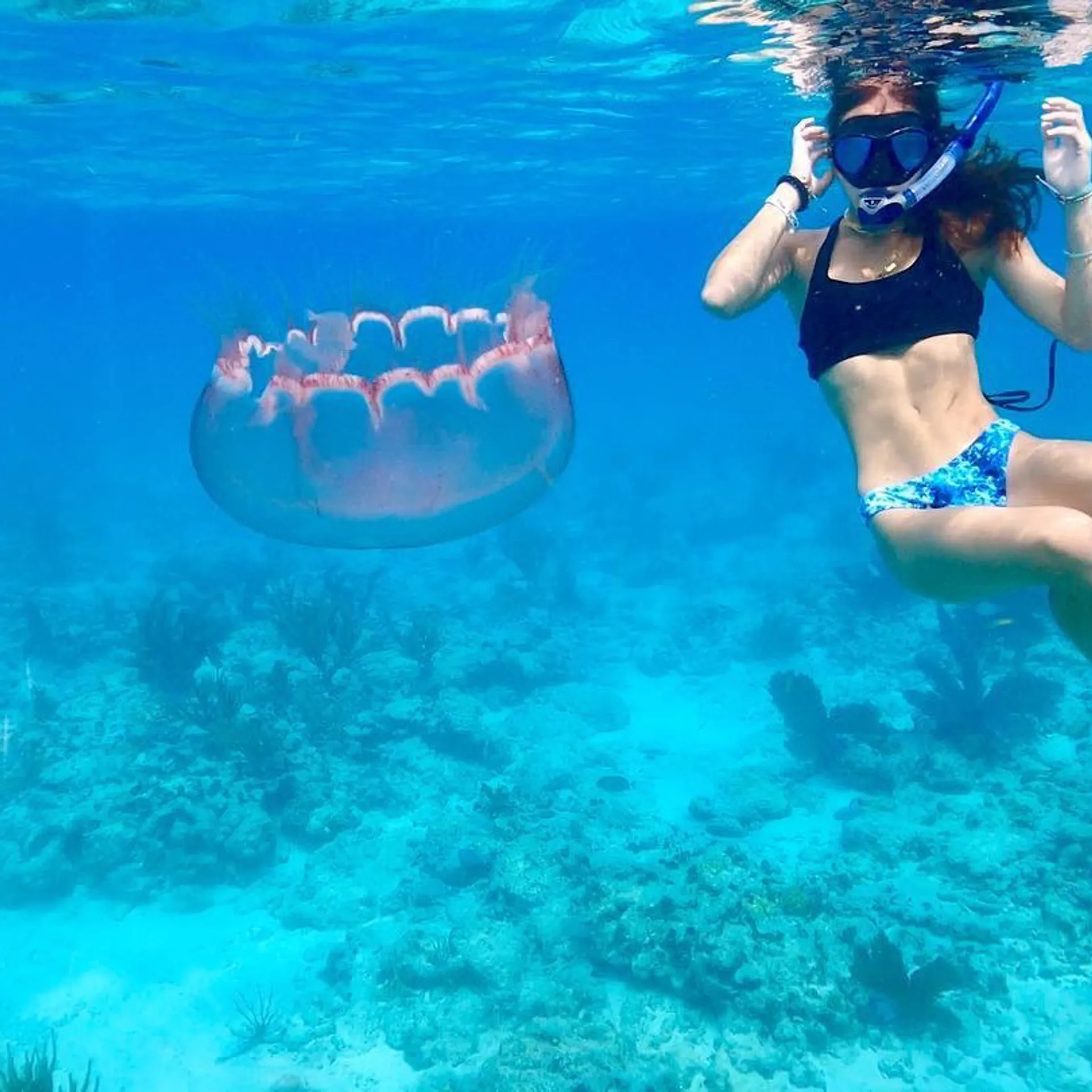 Reef snorkeling and Sandbar Tour