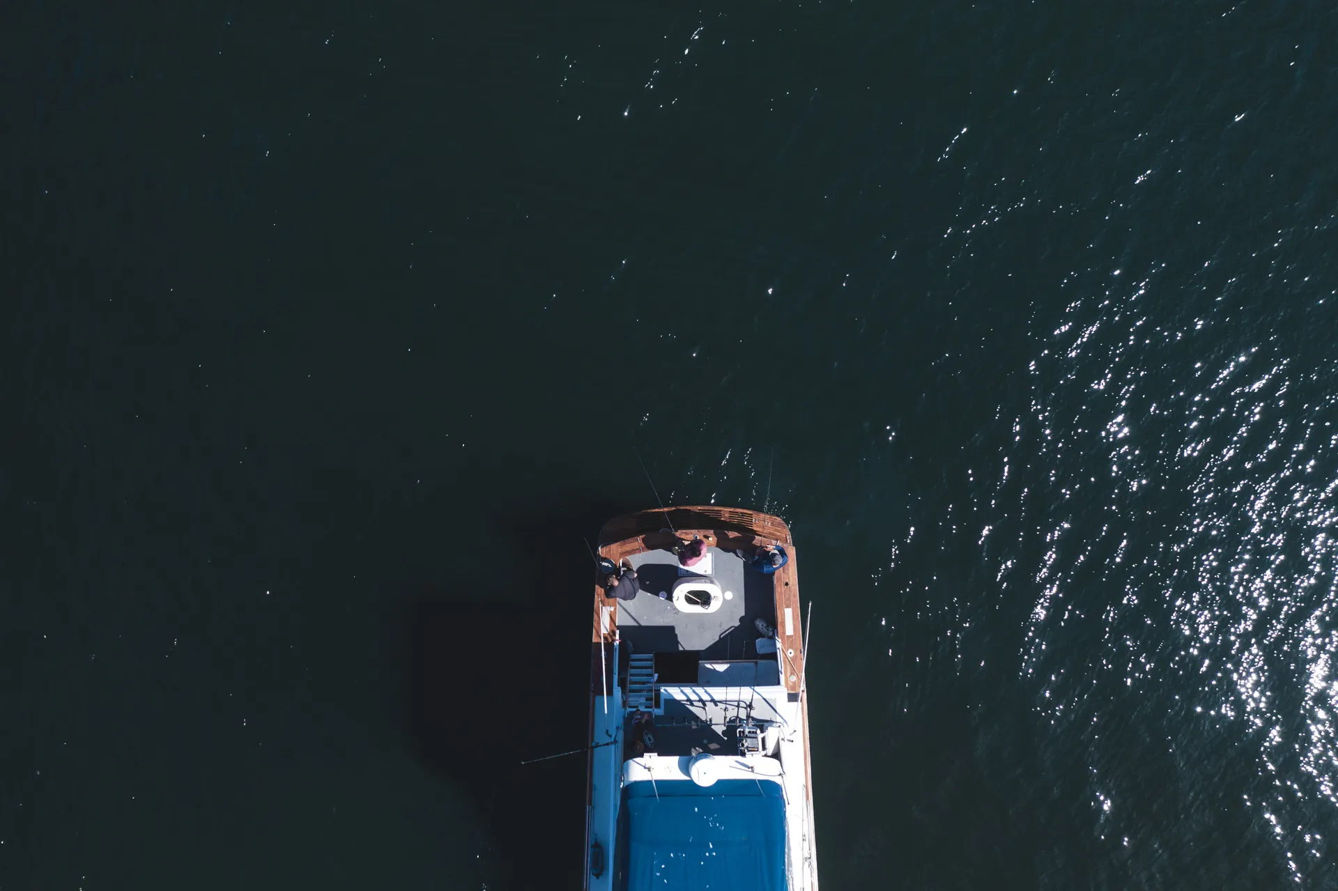 50ft EggHarbor. Party, Harbor cruise or offshore fishing 