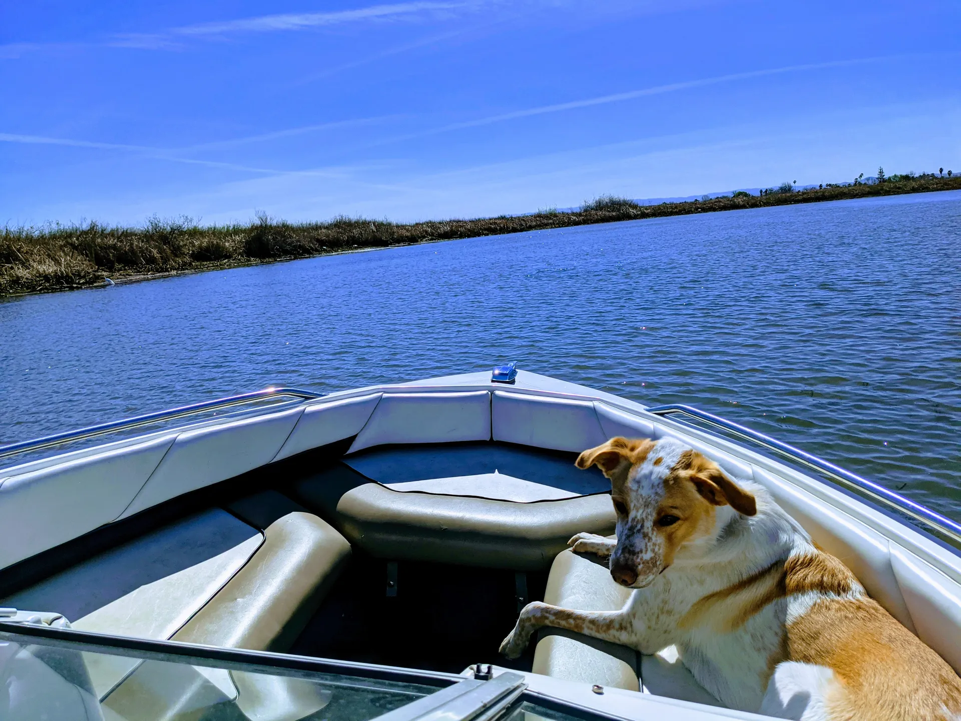Bayliner 1950 Capri Classic  in Discovery Bay, CA — photo 6