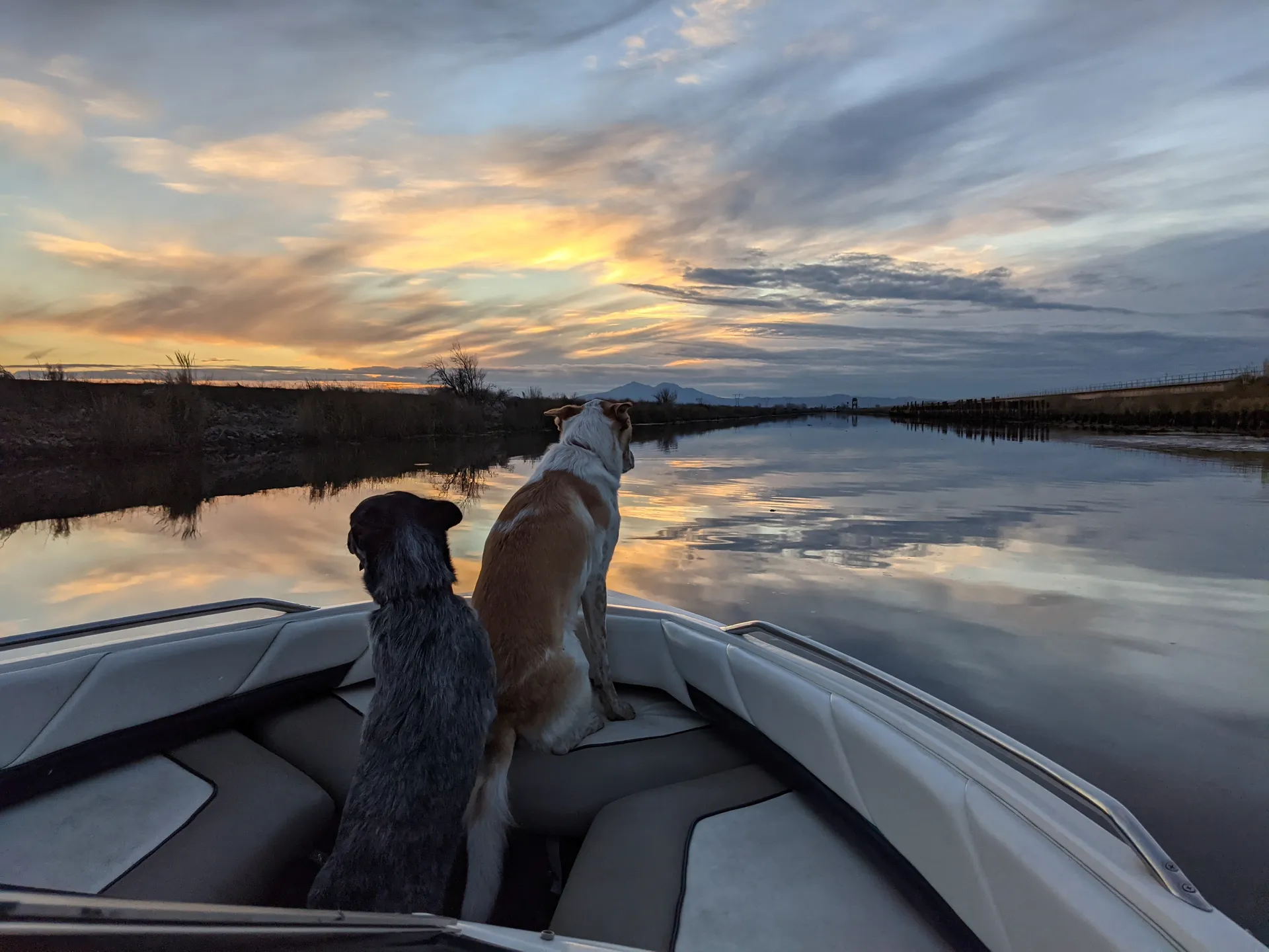 Bayliner 1950 Capri Classic  in Discovery Bay, CA — photo 8