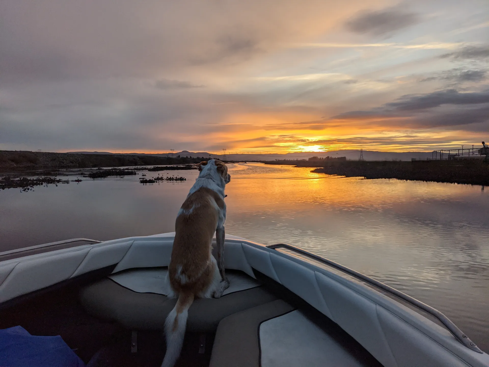 Bayliner 1950 Capri Classic  in Discovery Bay, CA — photo 10