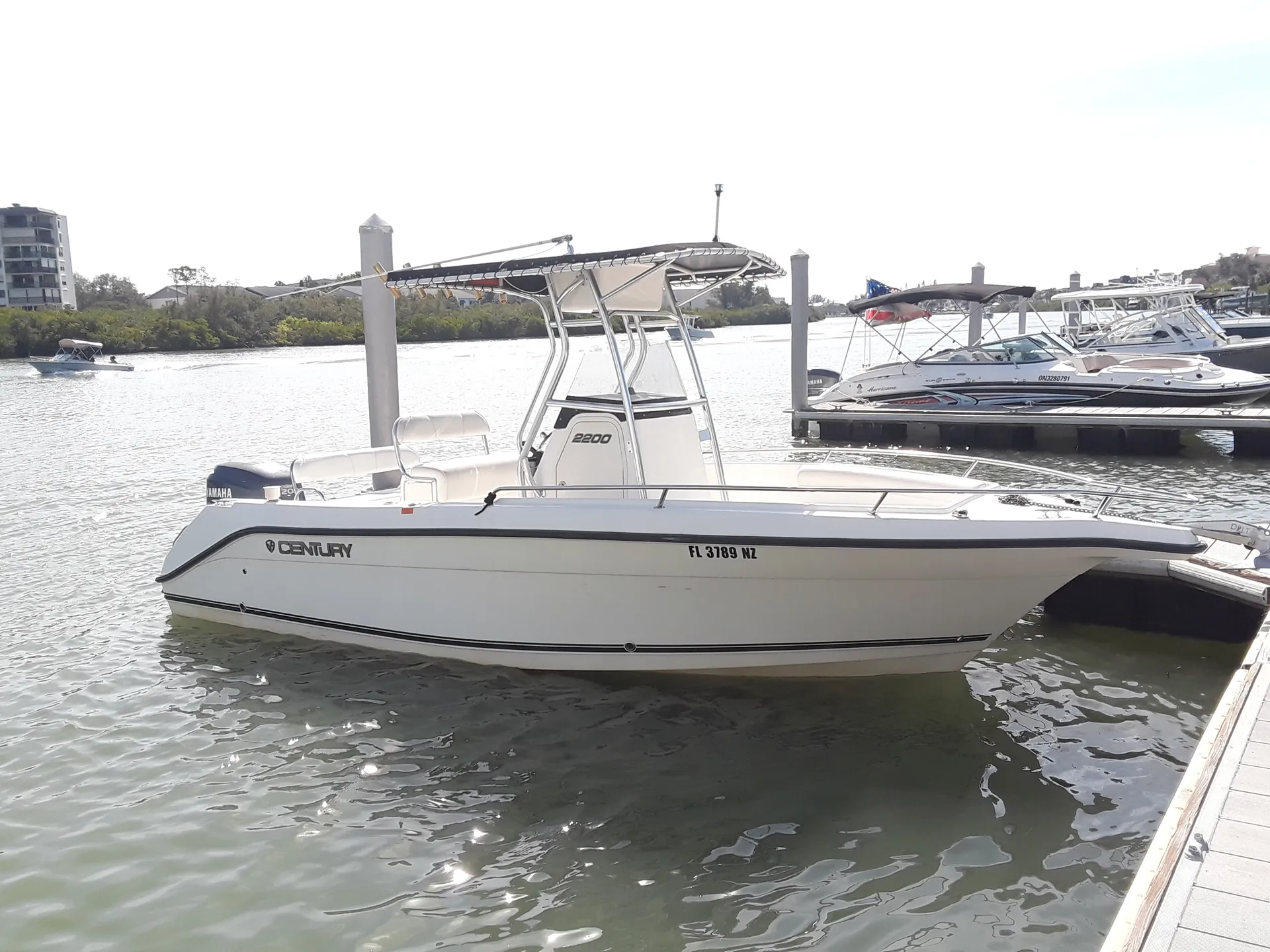 Scenic & sunset tours, dolphin cruises and more!