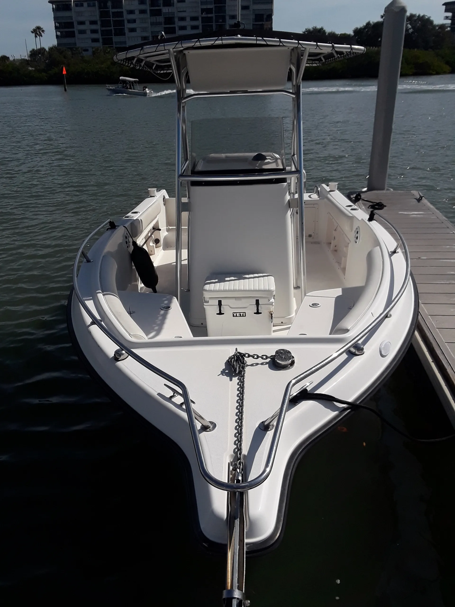 Scenic & sunset tours, dolphin cruises and more!