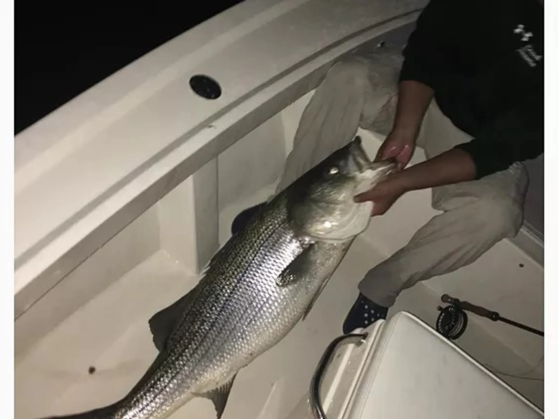 23' Pathfinder Boats for fishing in Montauk, NY!