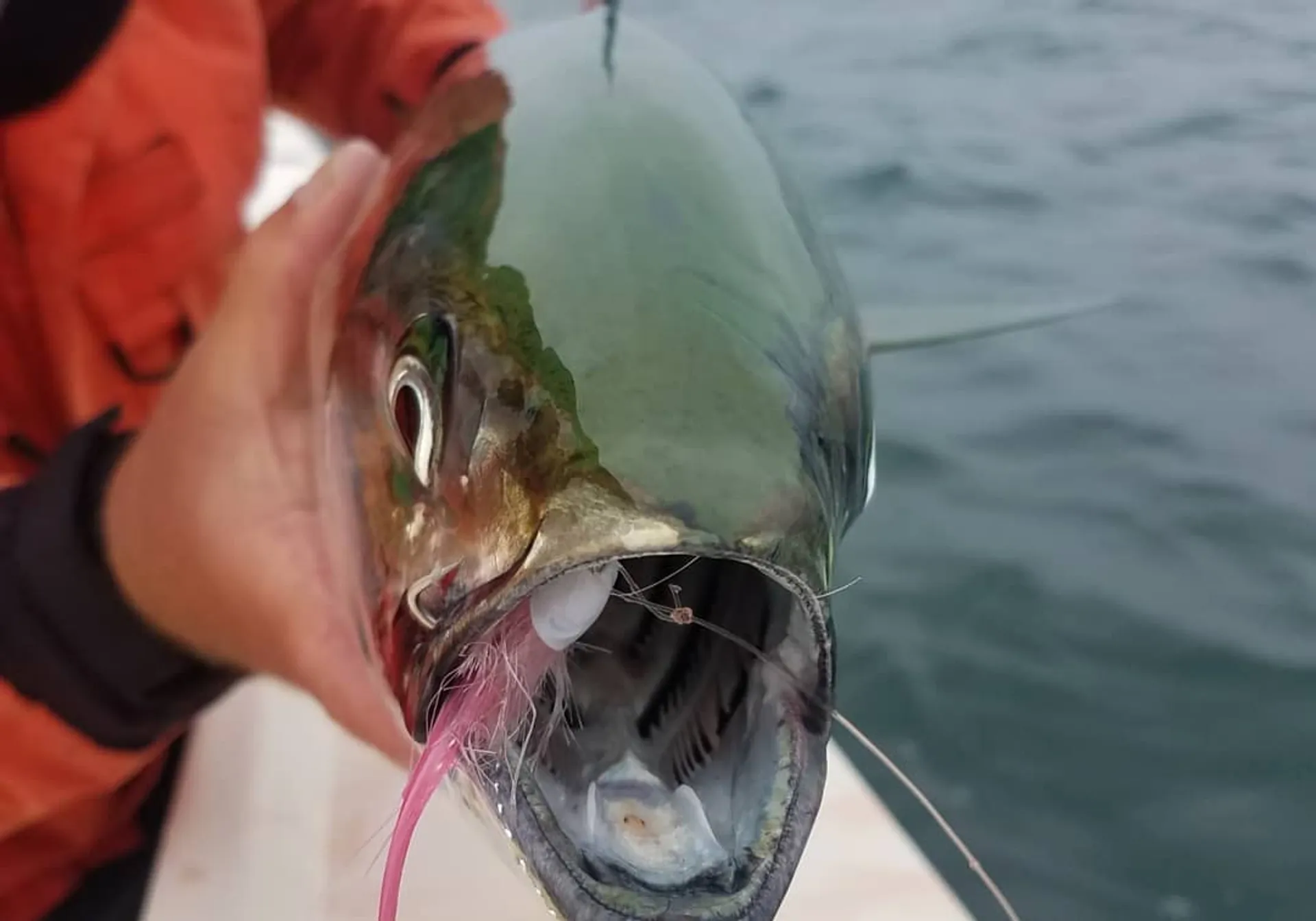 23' Pathfinder Boats for fishing in Montauk, NY!