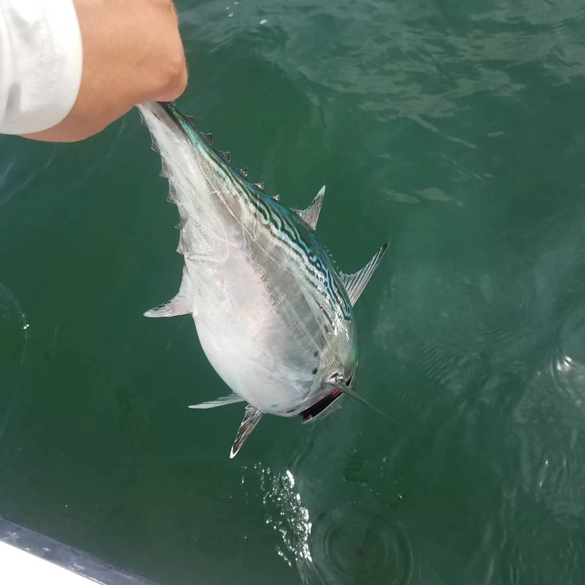 23' Pathfinder Boats for fishing in Montauk, NY!