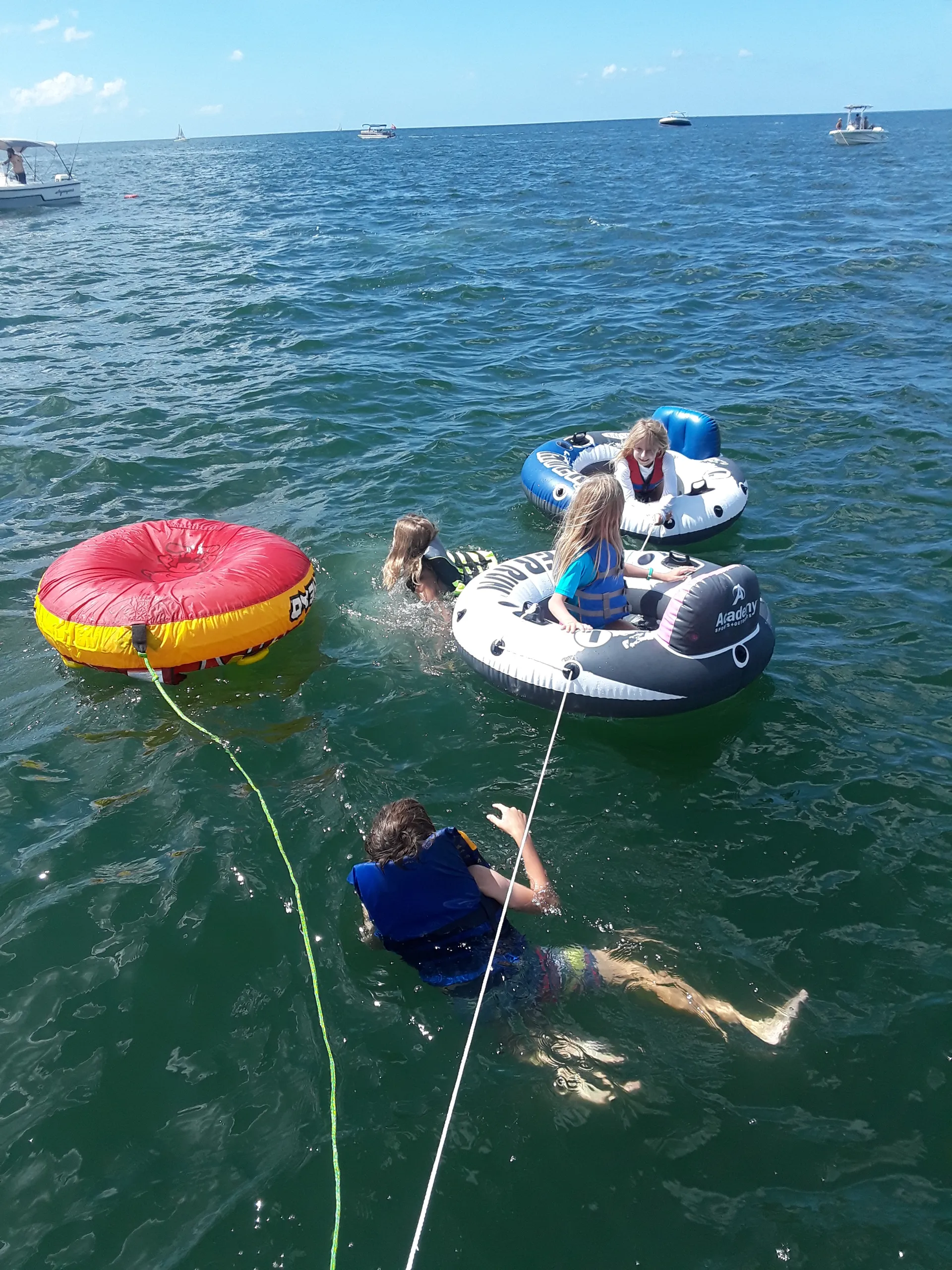 Scenic & sunset tours, dolphin cruises and more!