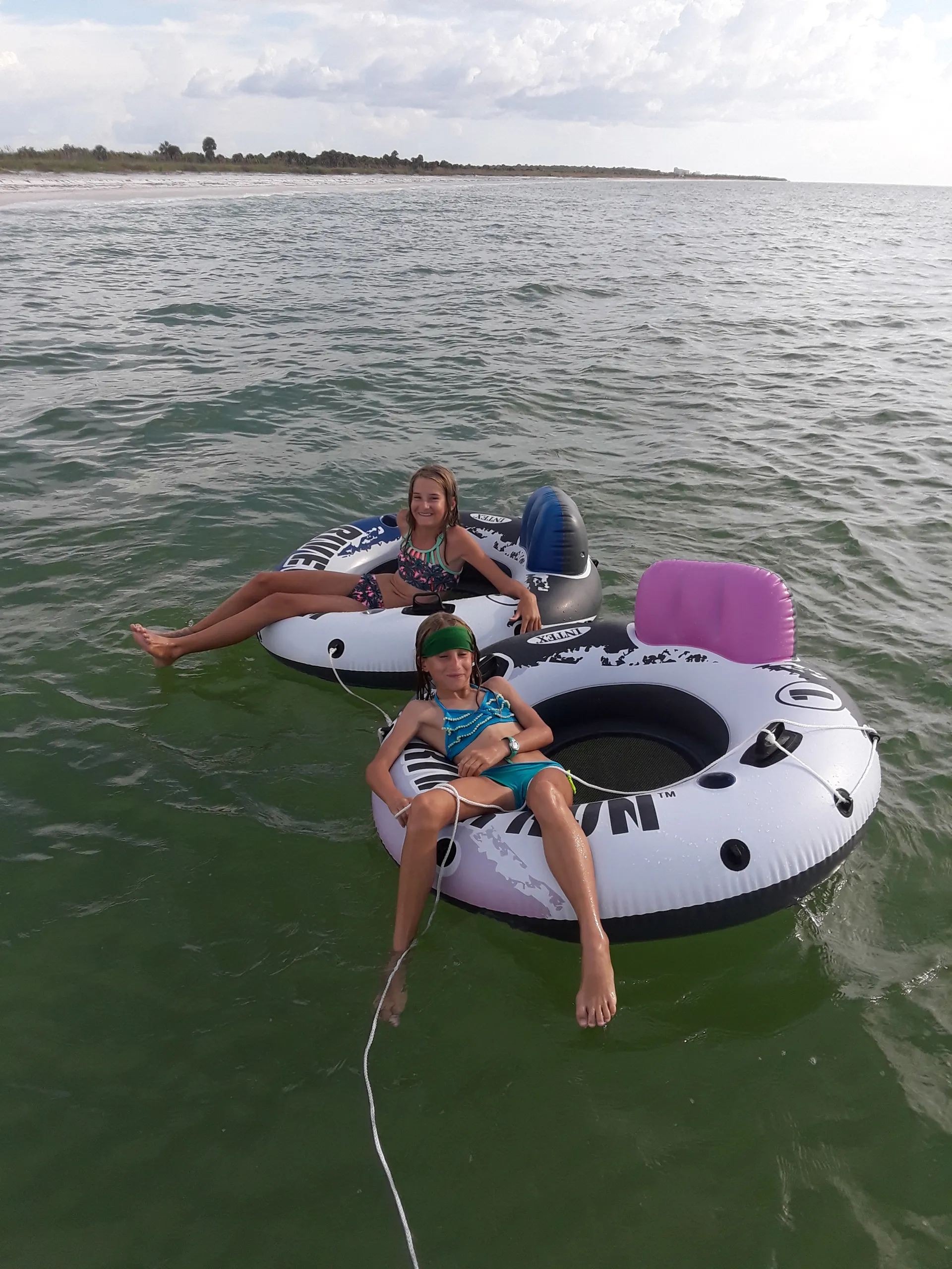 Scenic & sunset tours, dolphin cruises and more!