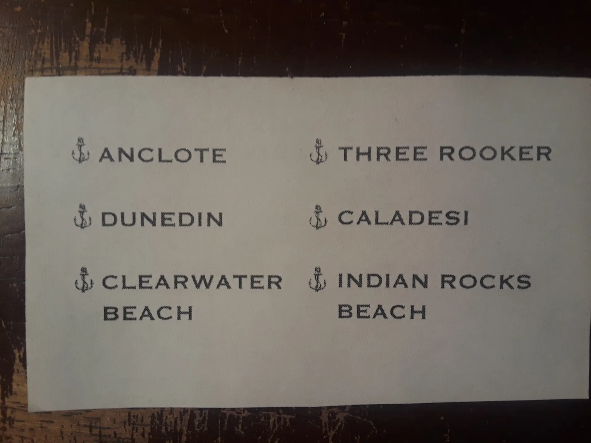 Scenic & sunset tours, dolphin cruises and more!