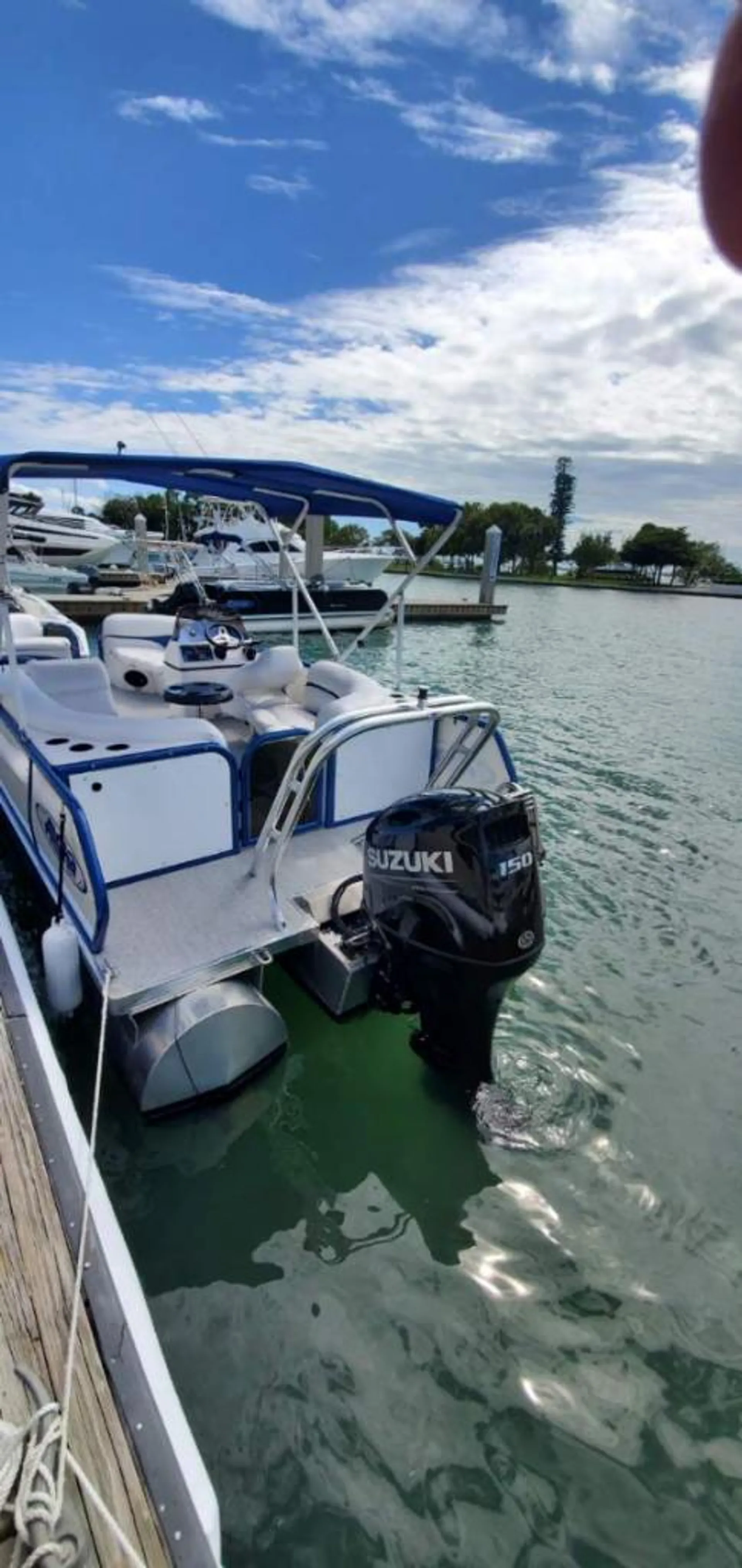 Aloha Tropical 230 in Sarasota, FL — photo 8