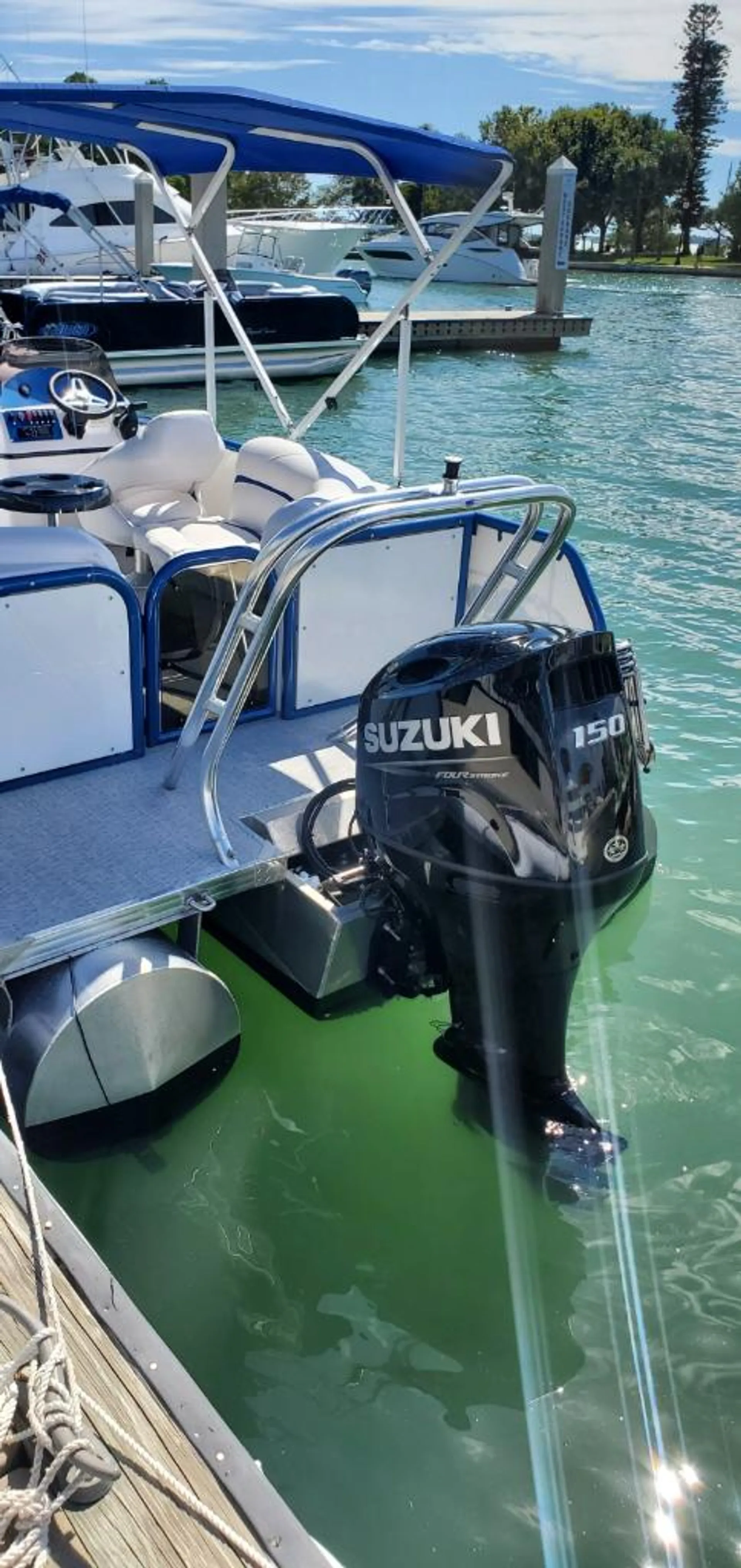 Aloha Tropical 230 in Sarasota, FL — photo 6