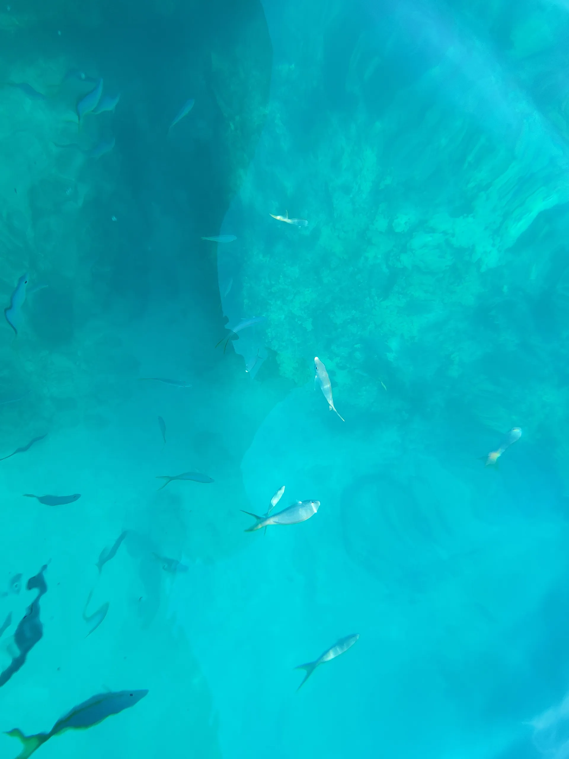 Double Decker Pontoon with a Slide in Jupiter/Peanut Island