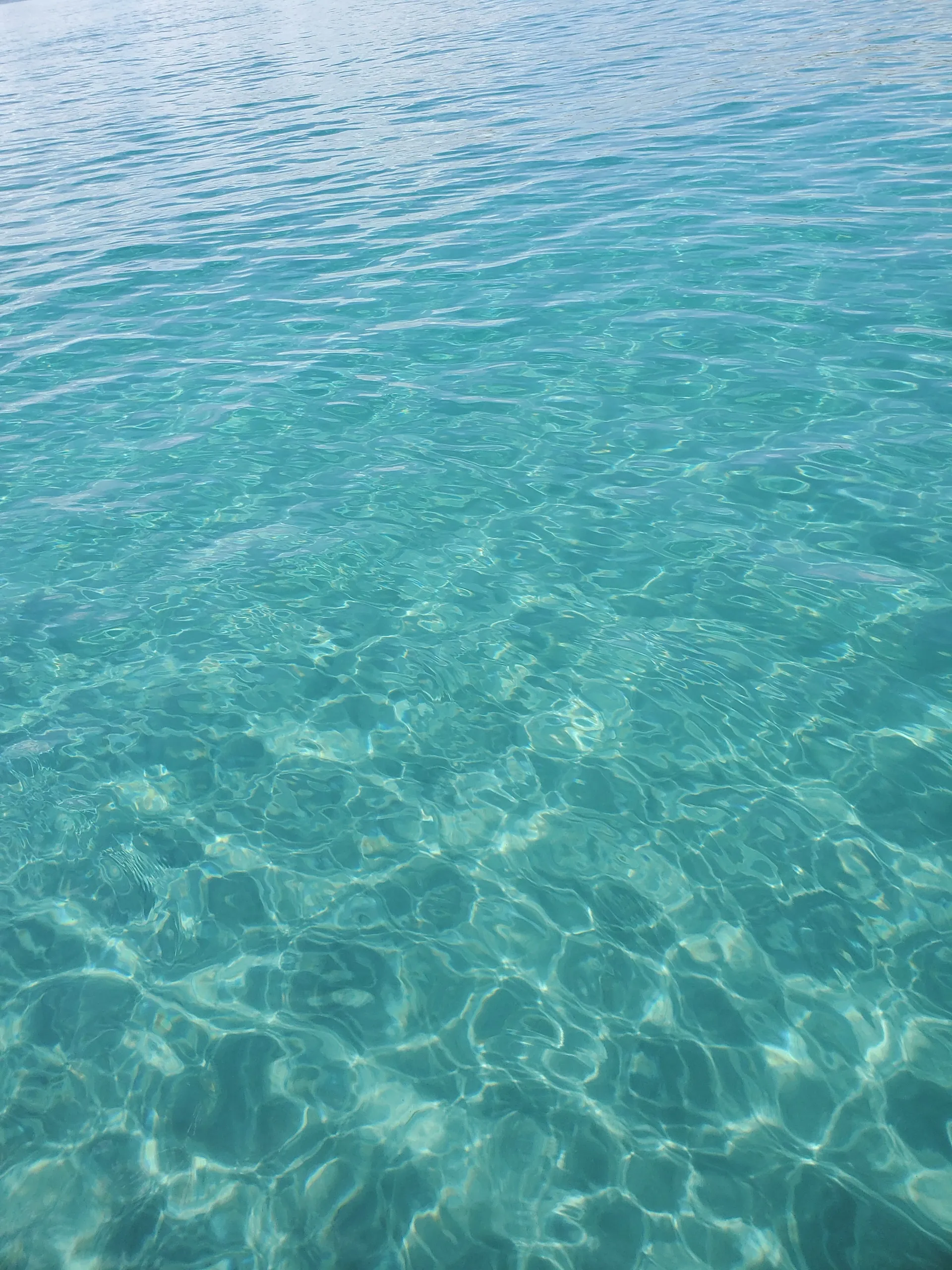 Double Decker Pontoon with a Slide in Jupiter/Peanut Island