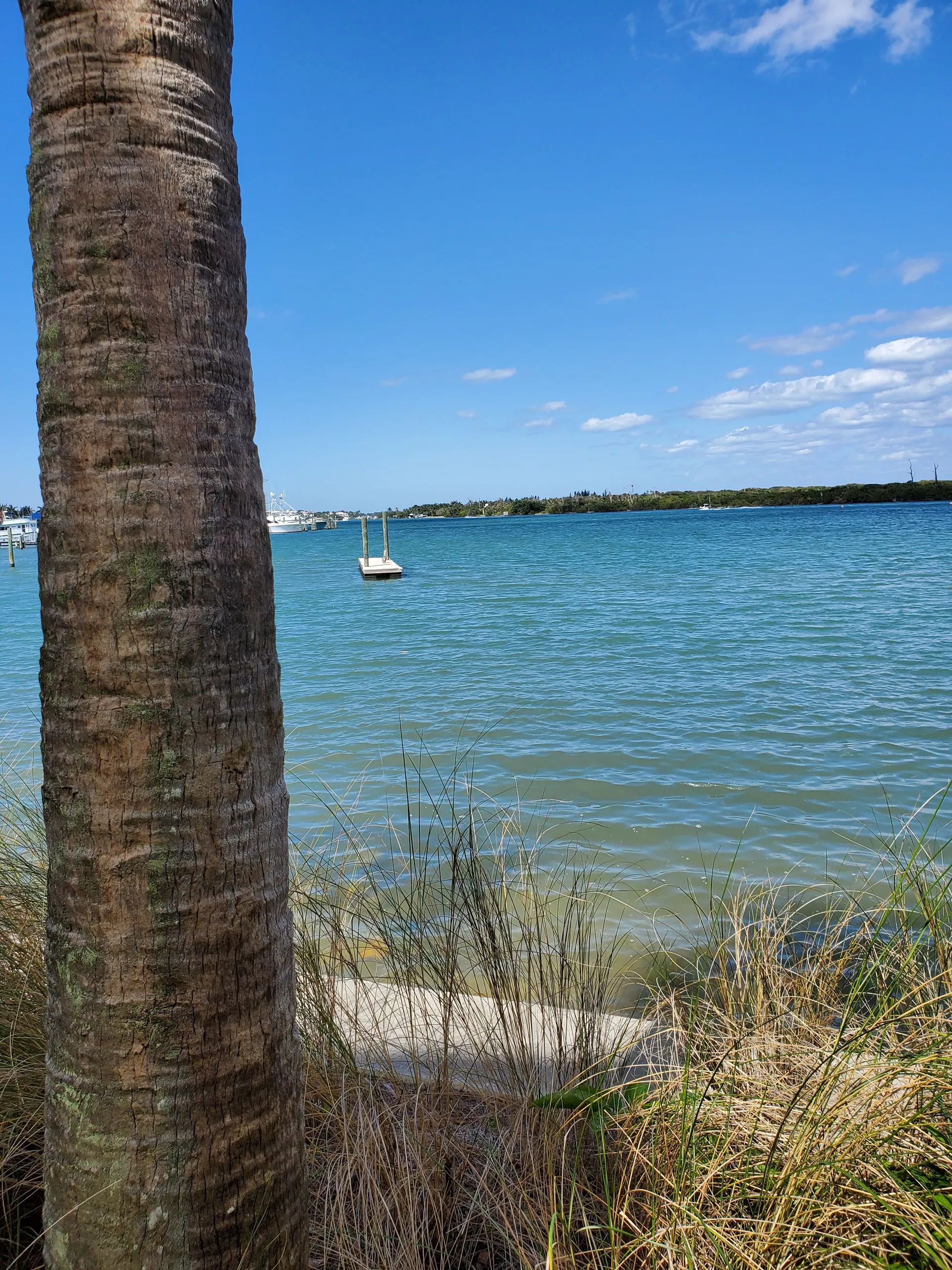 Double Decker Pontoon with a Slide in Jupiter/Peanut Island