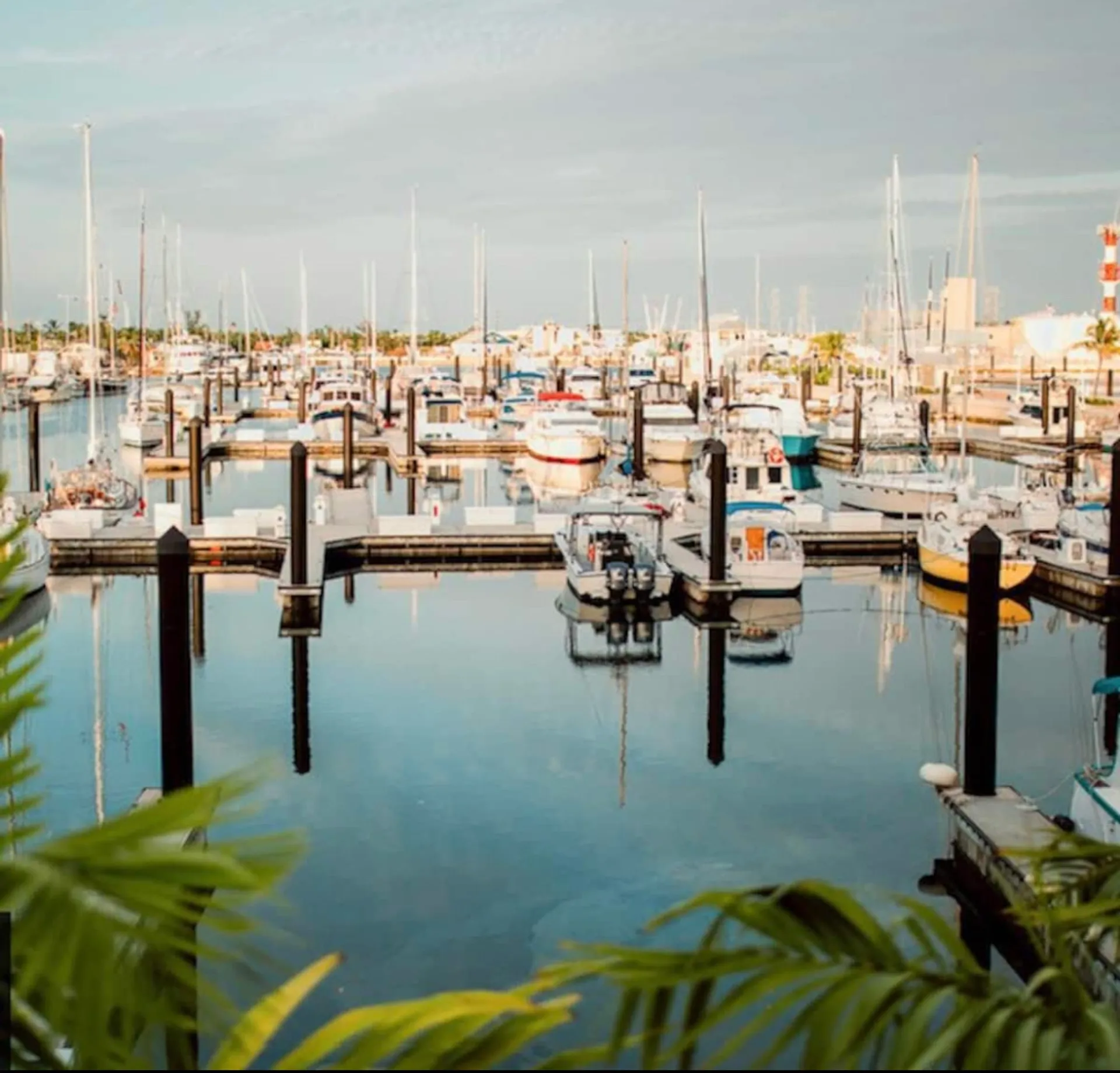 Carver Yachts 38SS in Stock Island, FL — photo 5