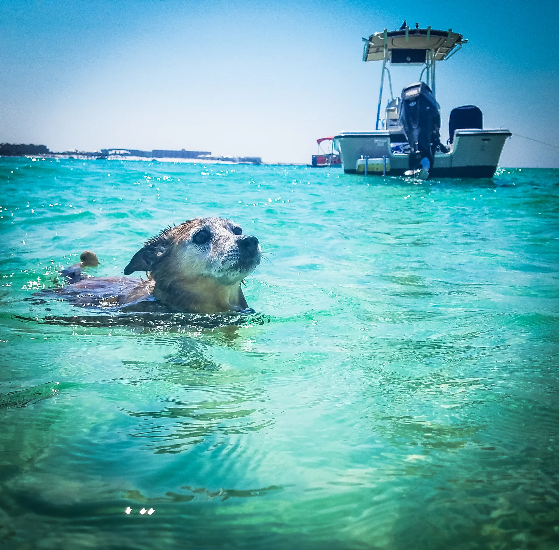 Triton (TN) 218 Bay Explorer  in Naples, FL — photo 4