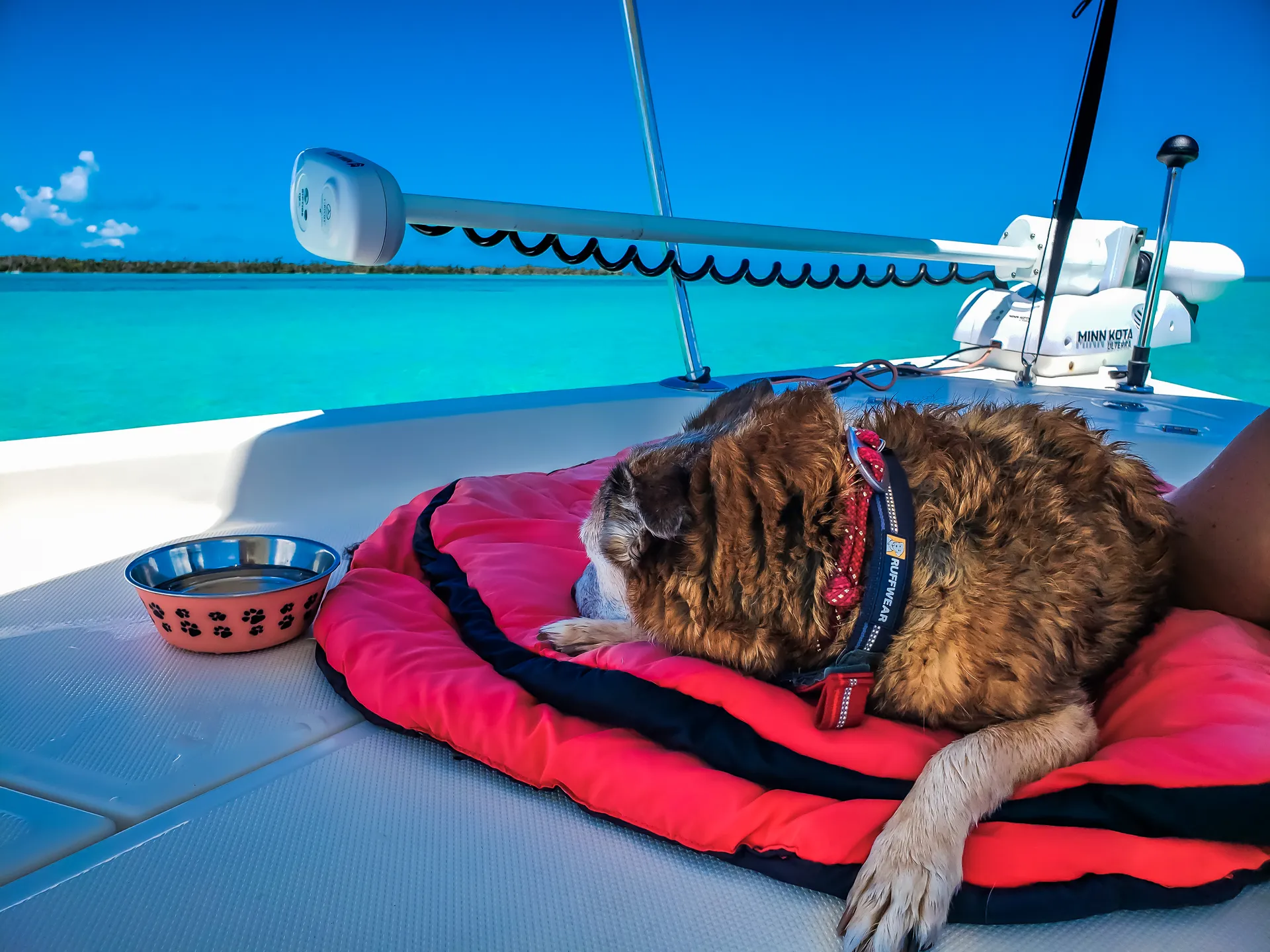 Triton (TN) 218 Bay Explorer  in Naples, FL — photo 6