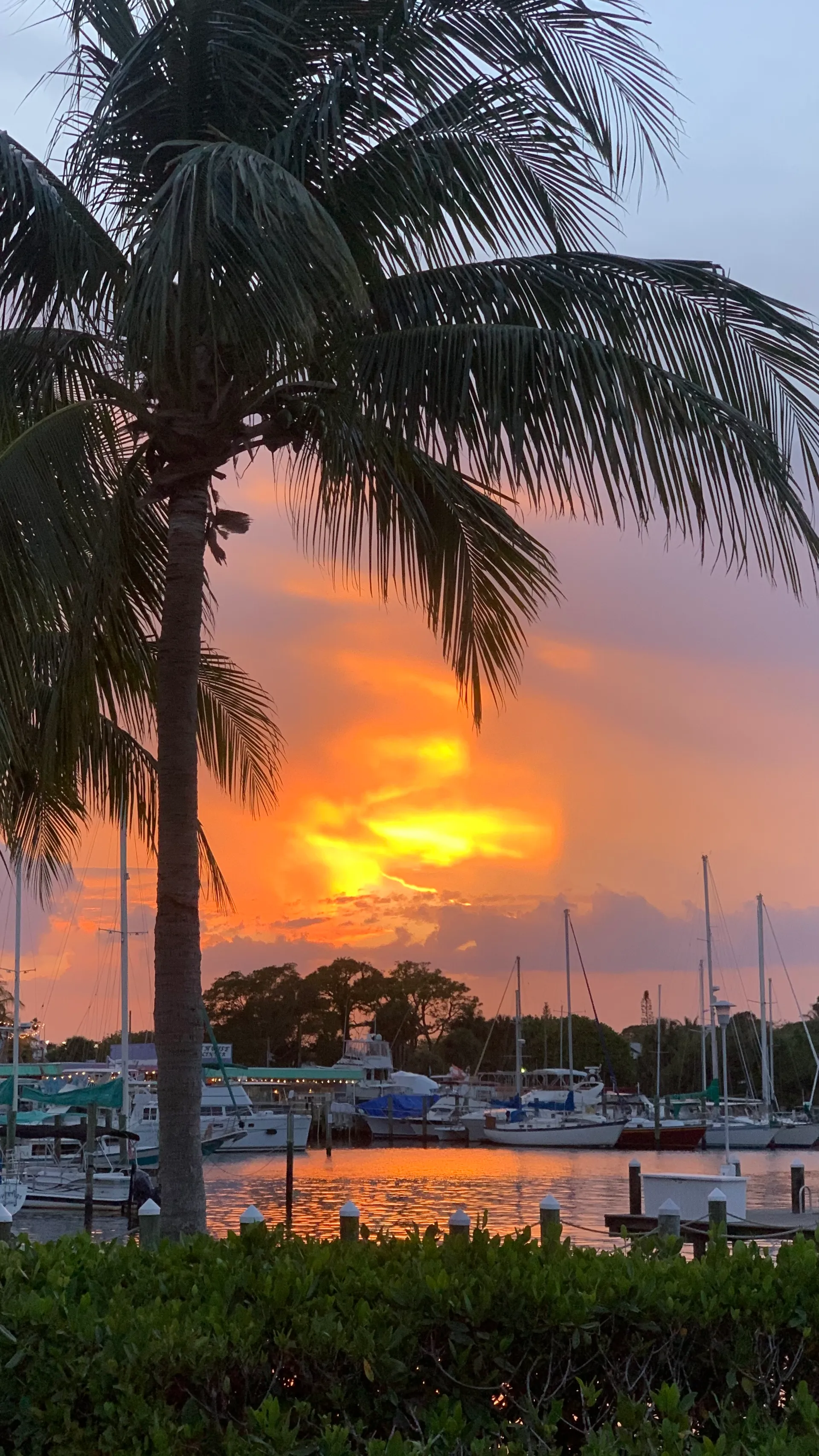 ☀️ 5 STAR 42' Azimut Luxury Yacht | Jupiter, Palm Beach, Stuart, FL